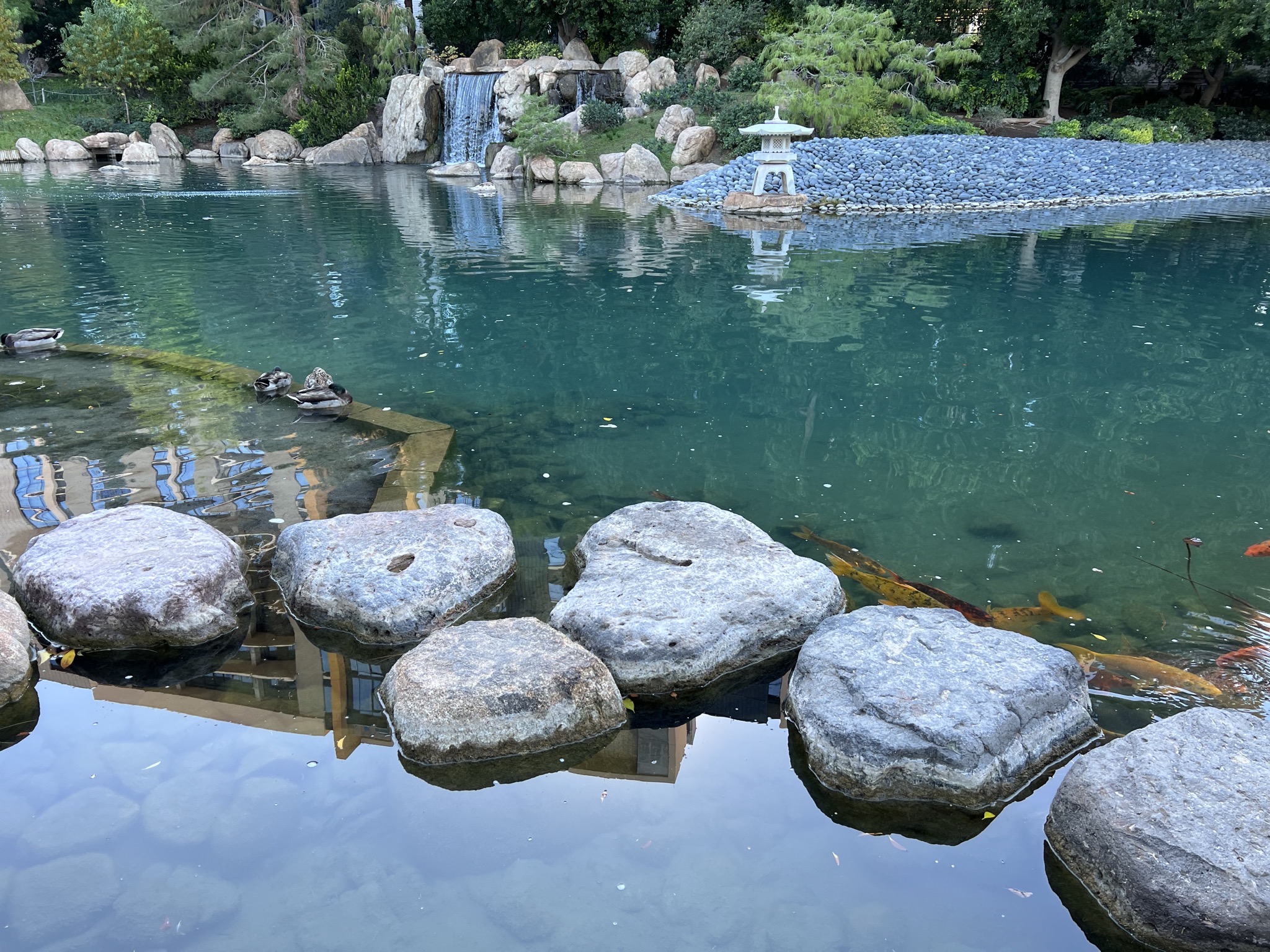 Pond