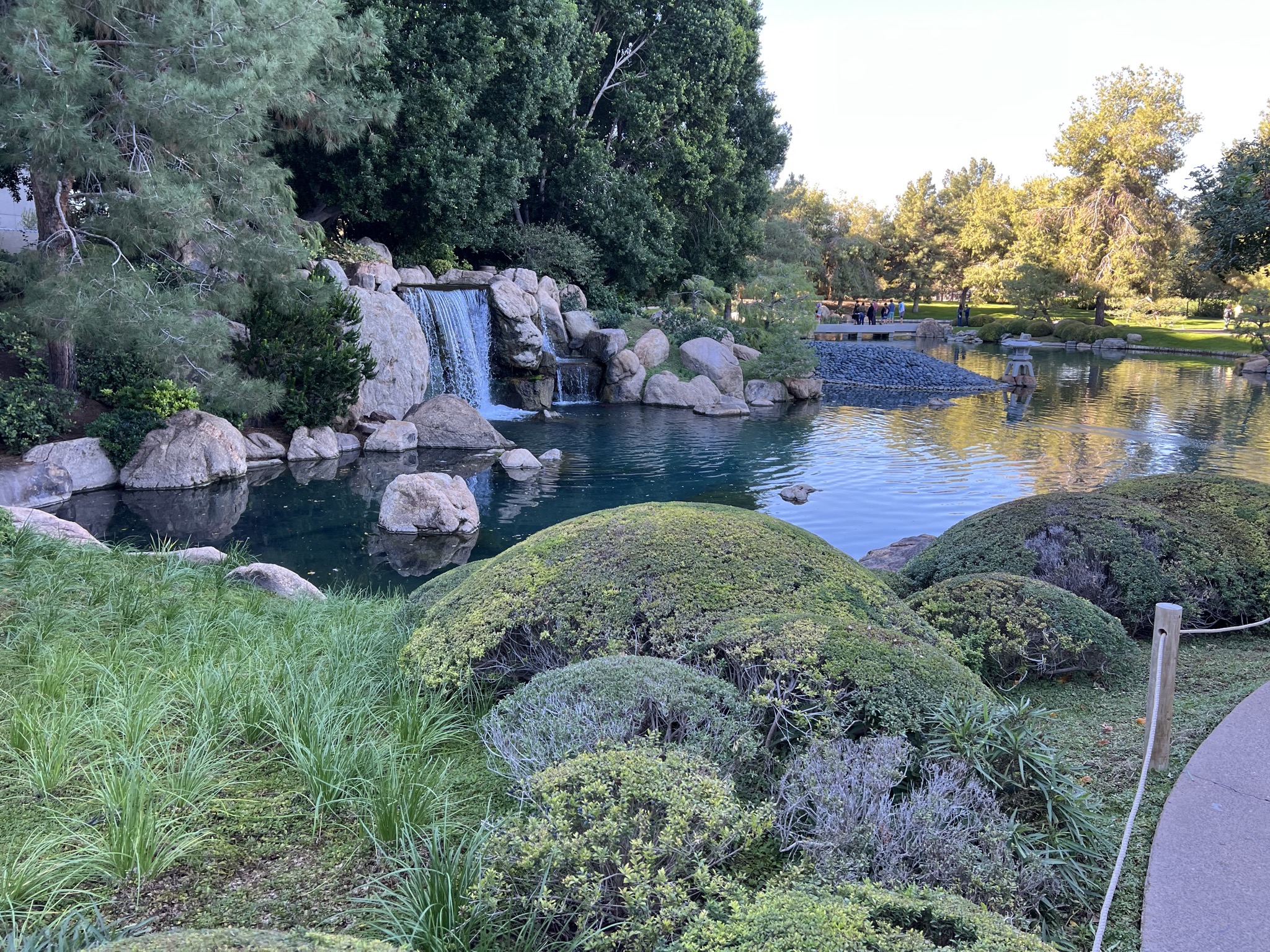 Pond