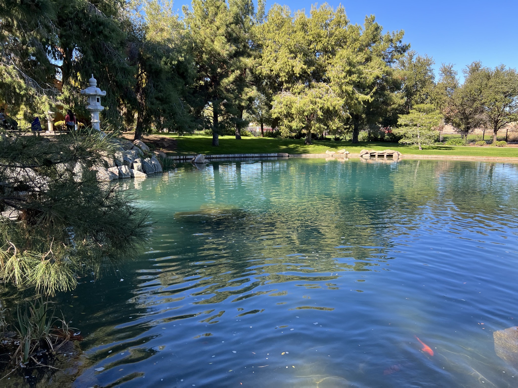 Pond