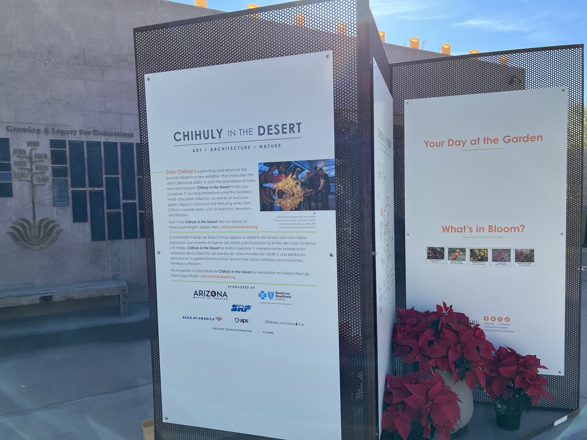 Chihuly info