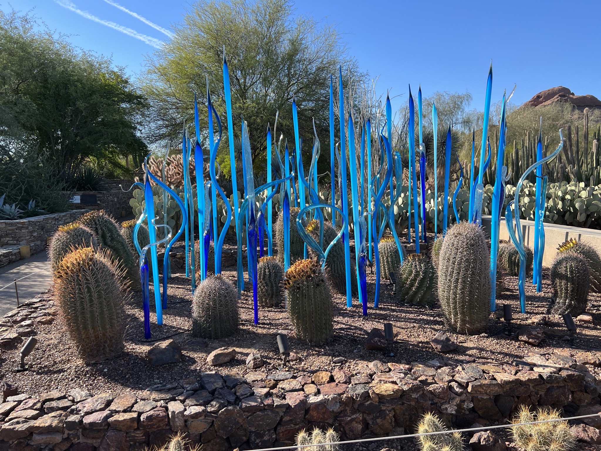 Chihuly