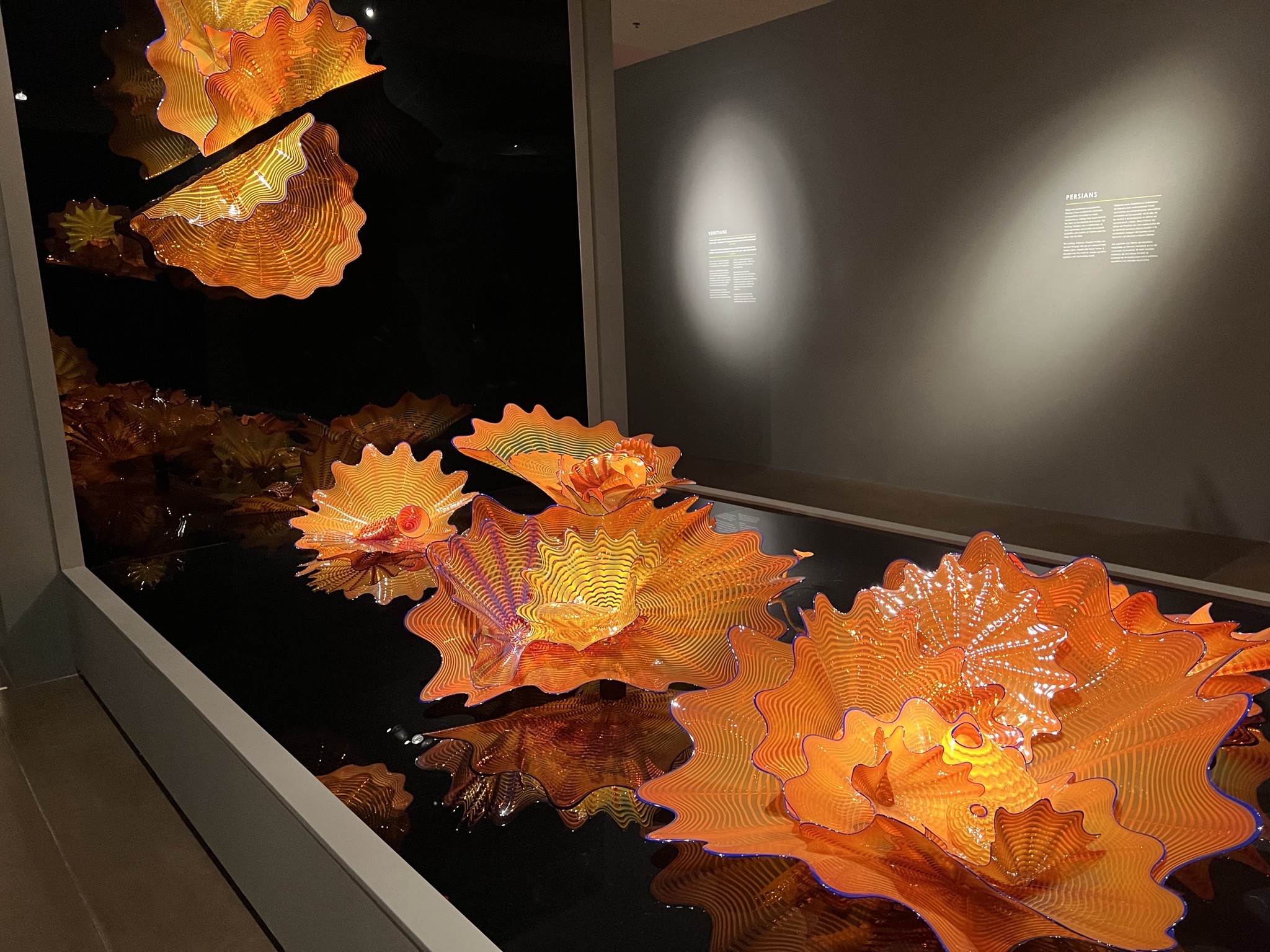 Chihuly