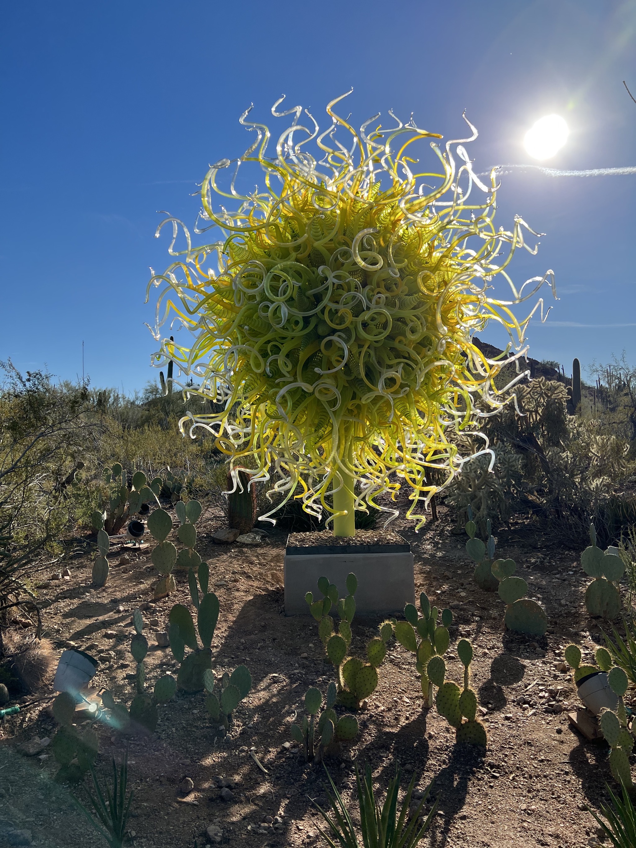 Chihuly