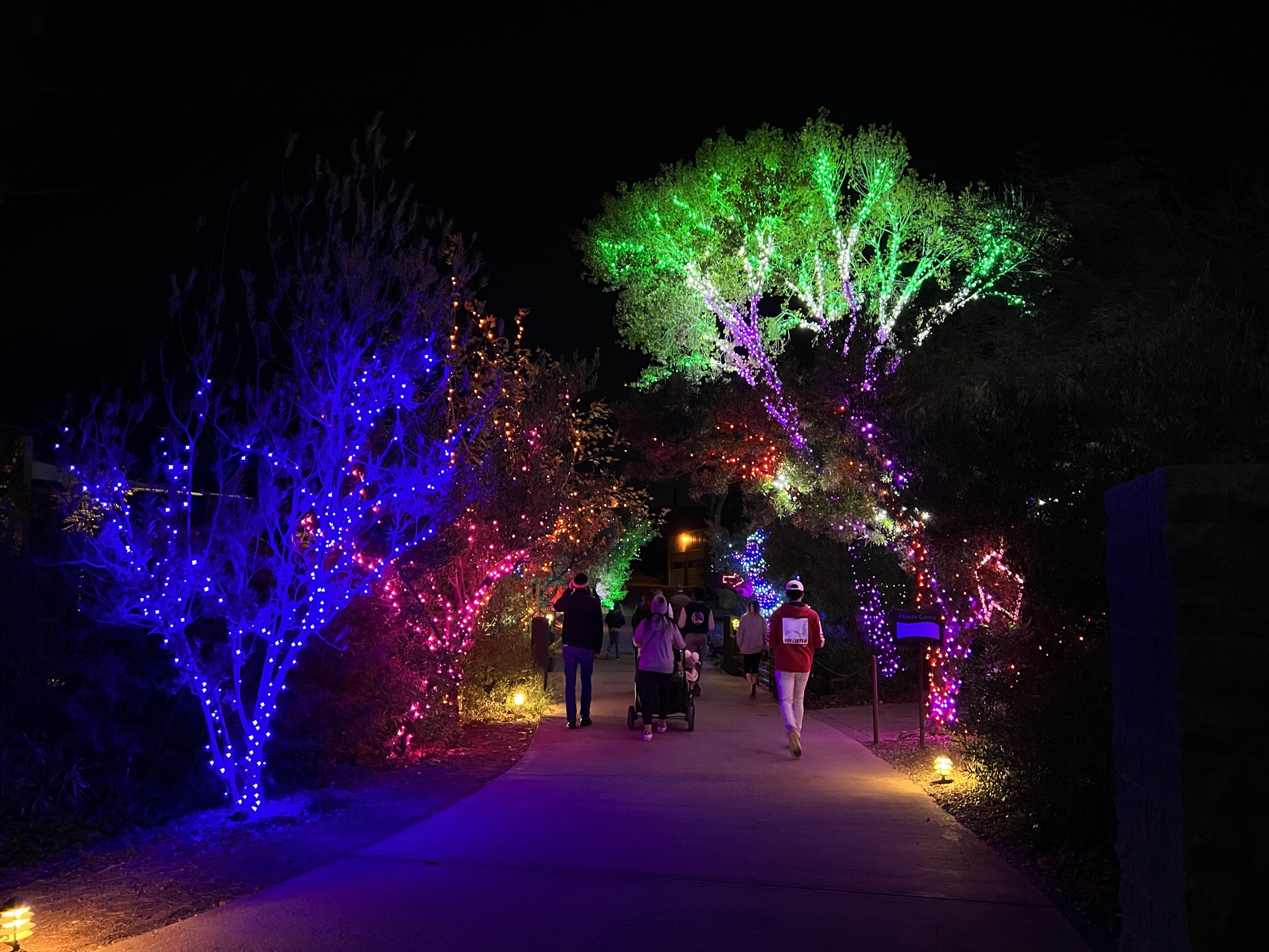 Zoo lights