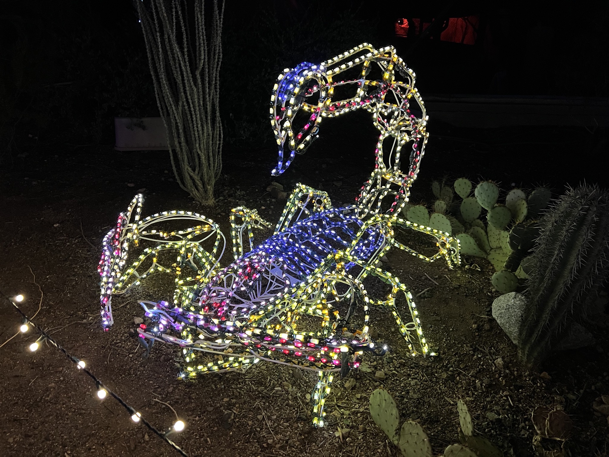 Zoo lights