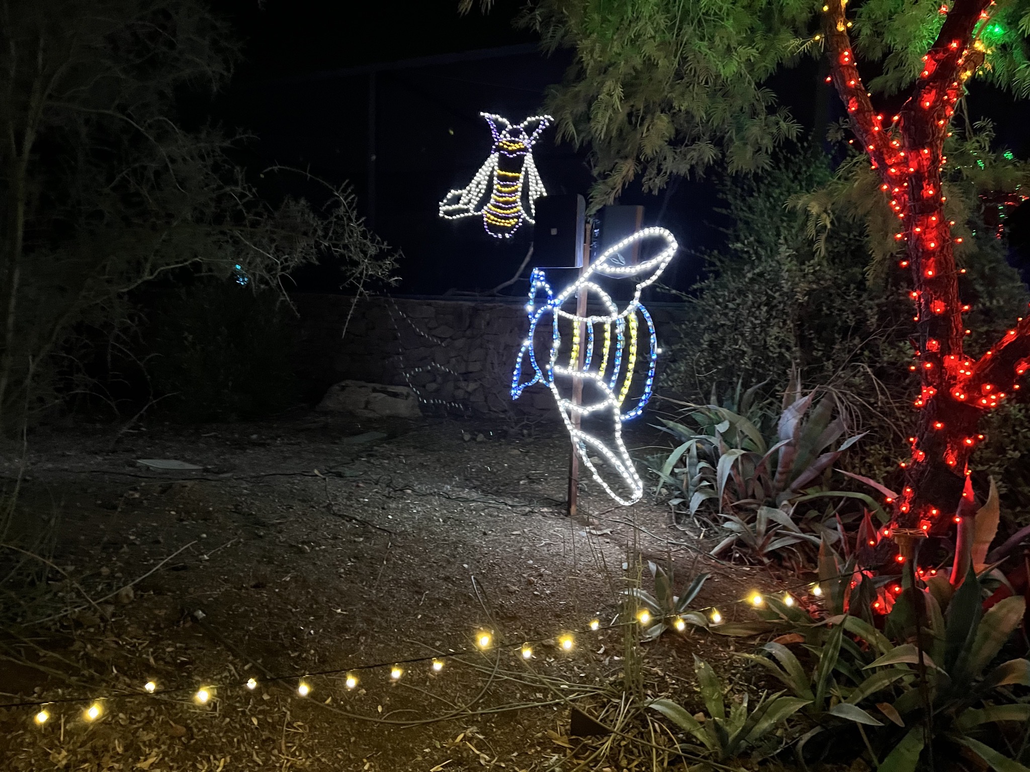 Zoo lights