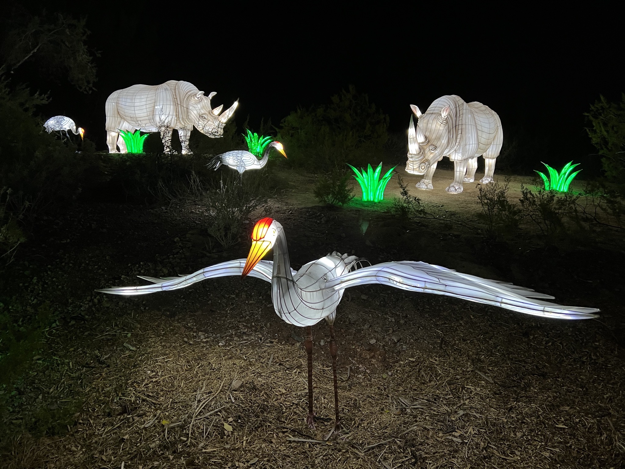 Zoo lights