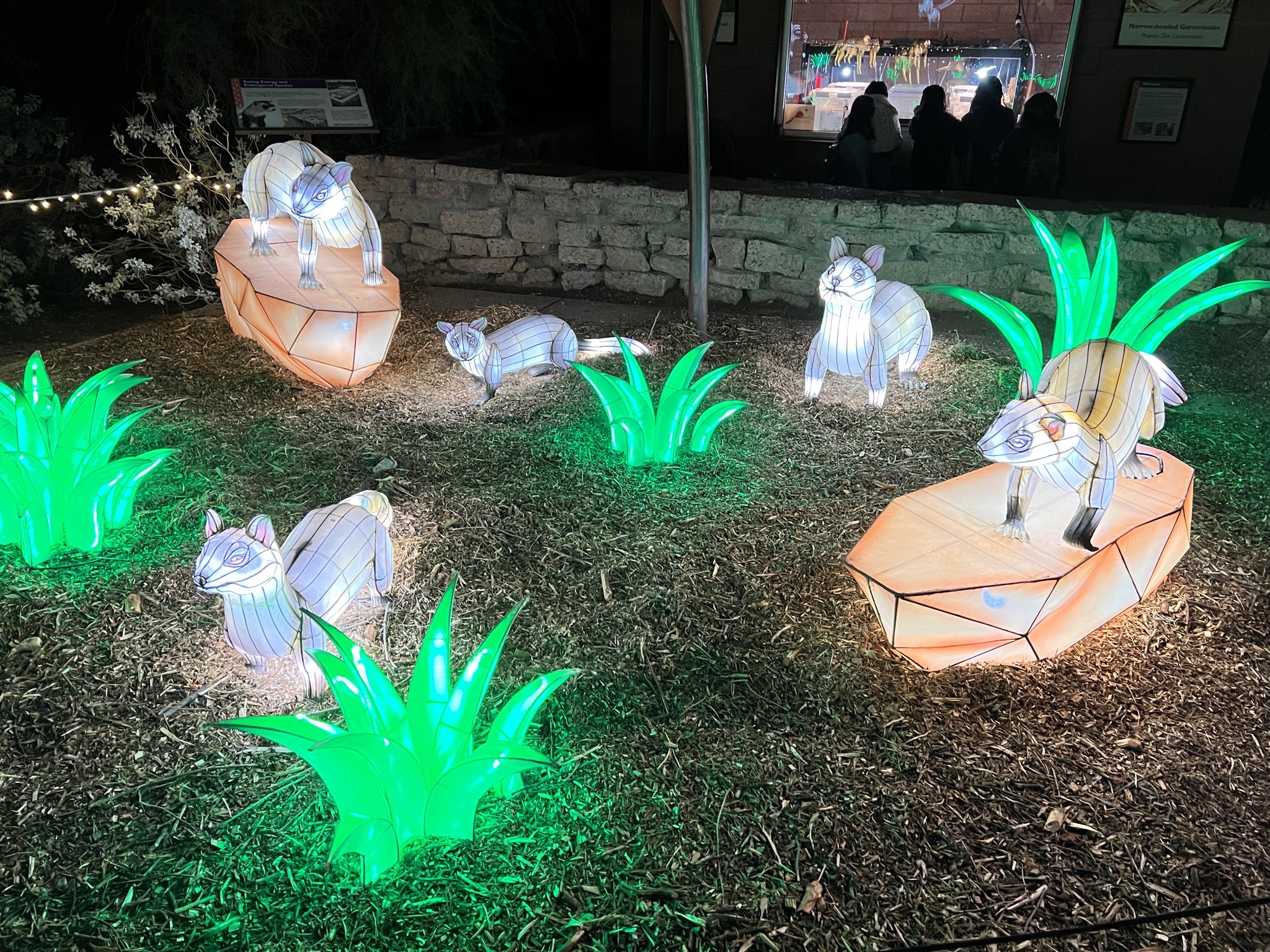 Zoo lights