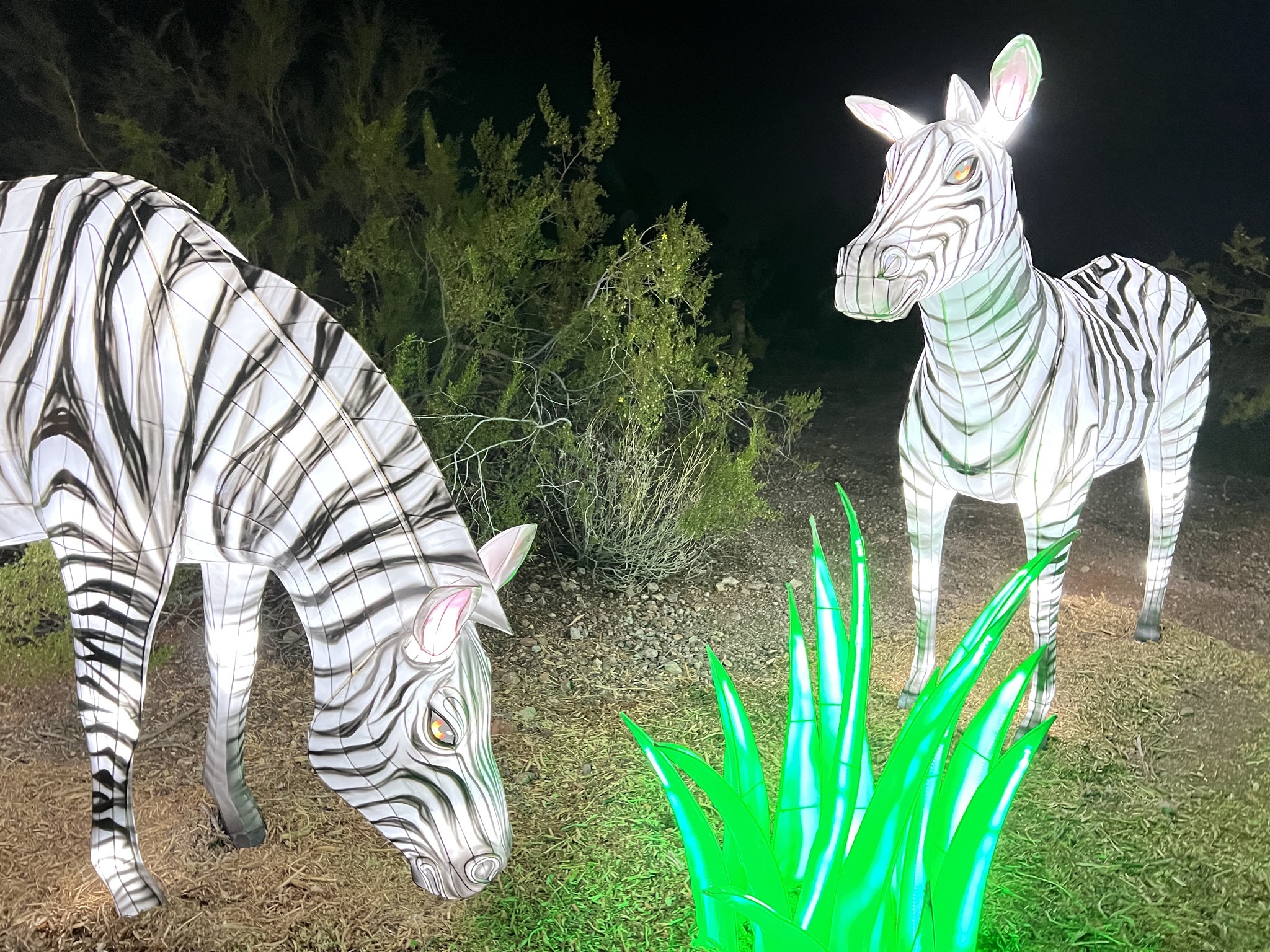 Zoo lights