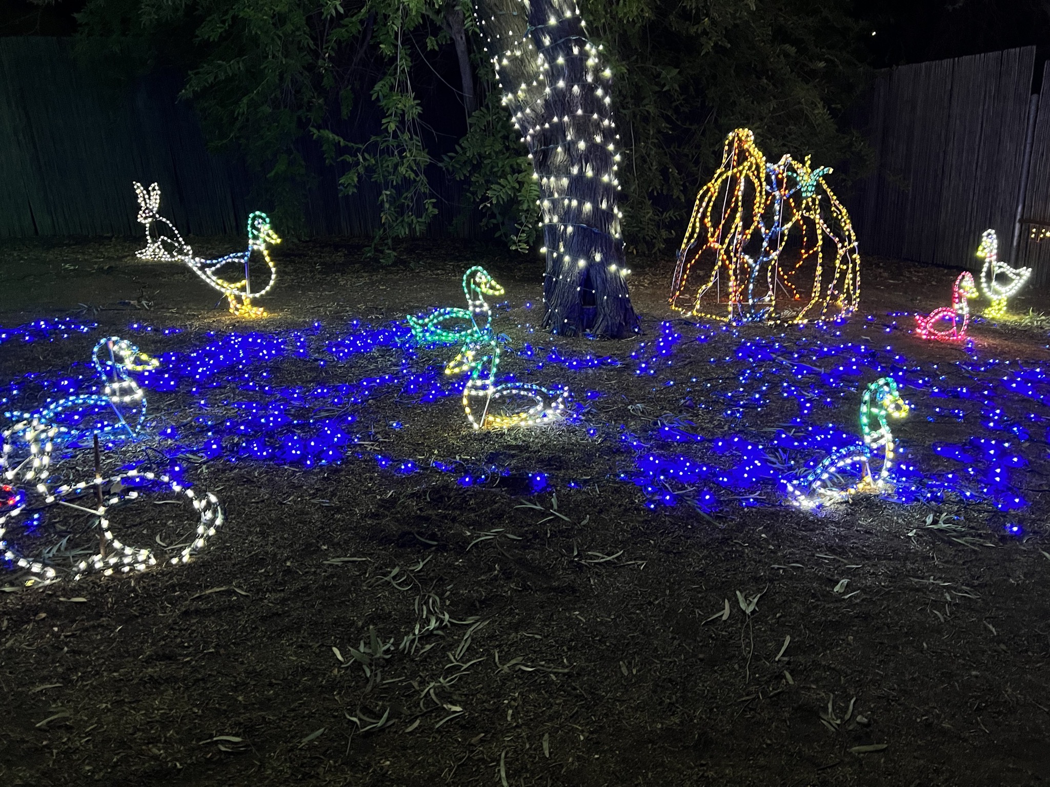 Zoo lights