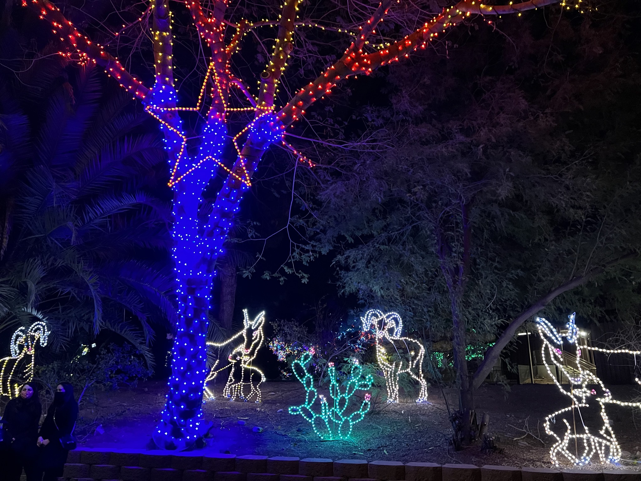 Zoo lights