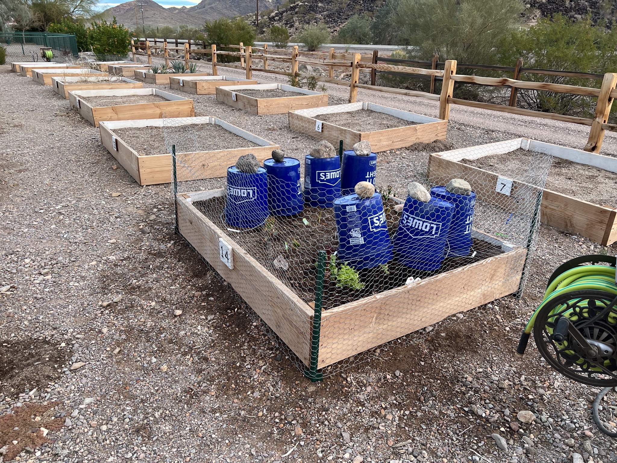 Community garden beds