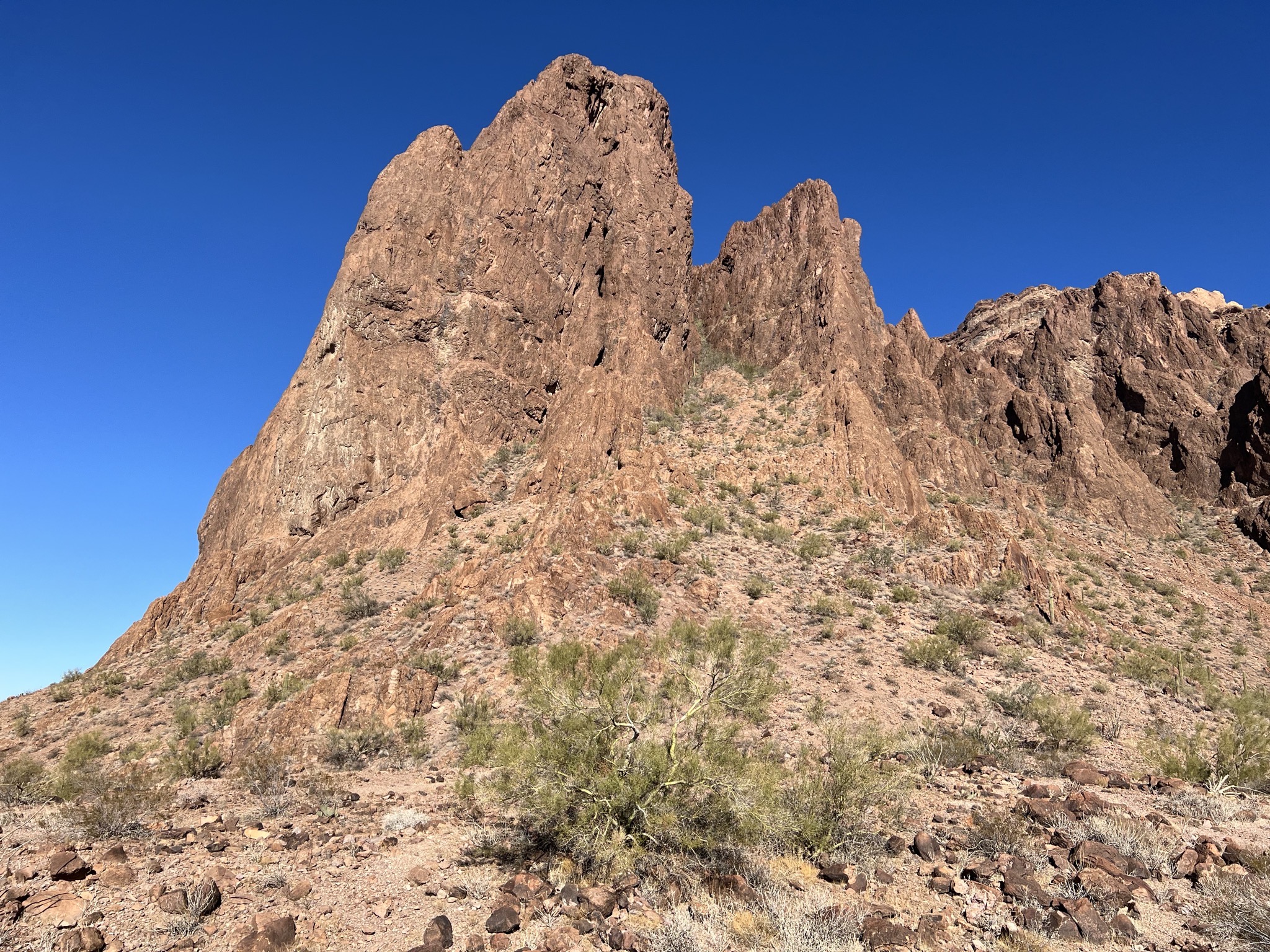 Palm Canyon mountain