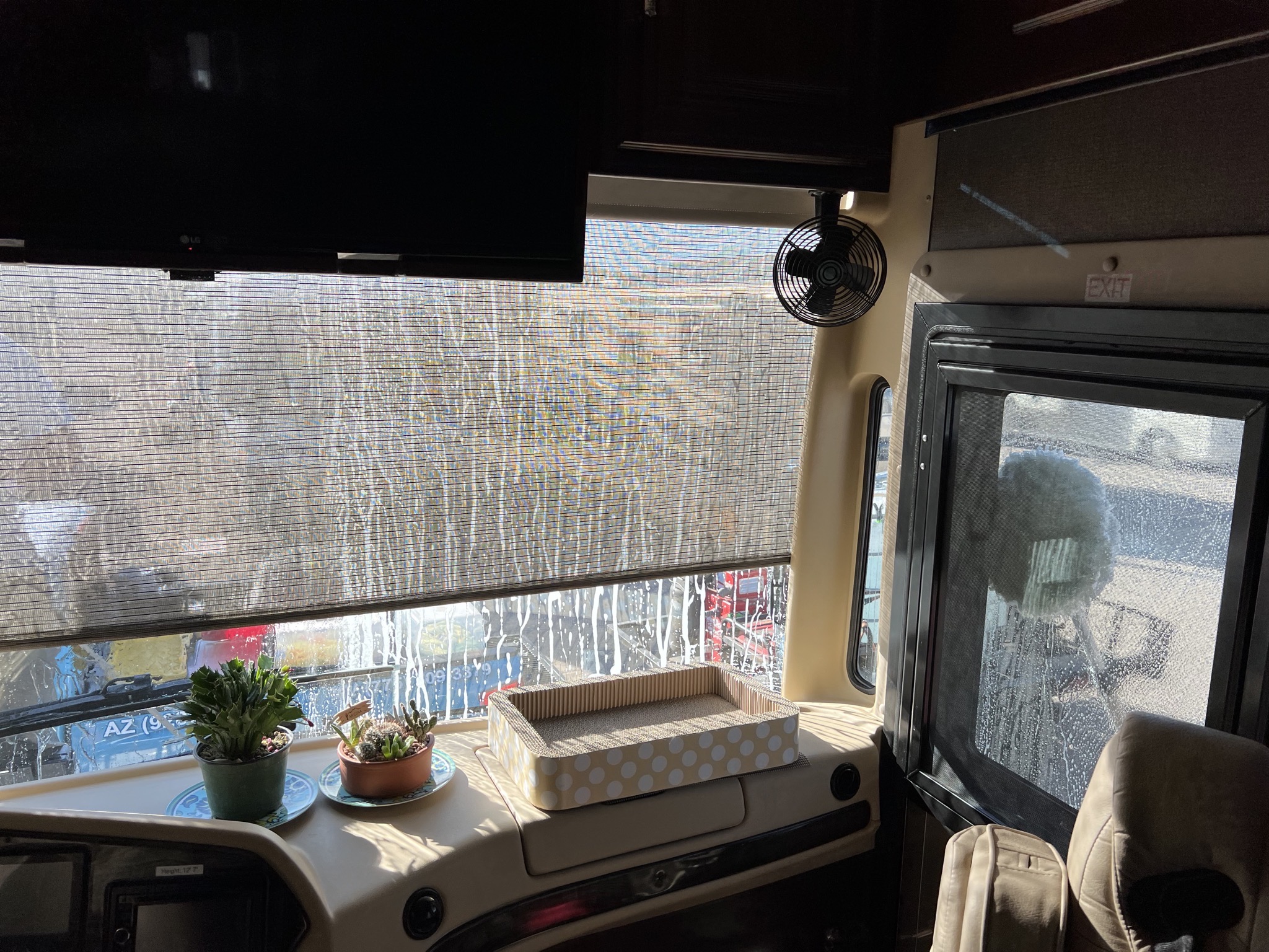 View from inside
