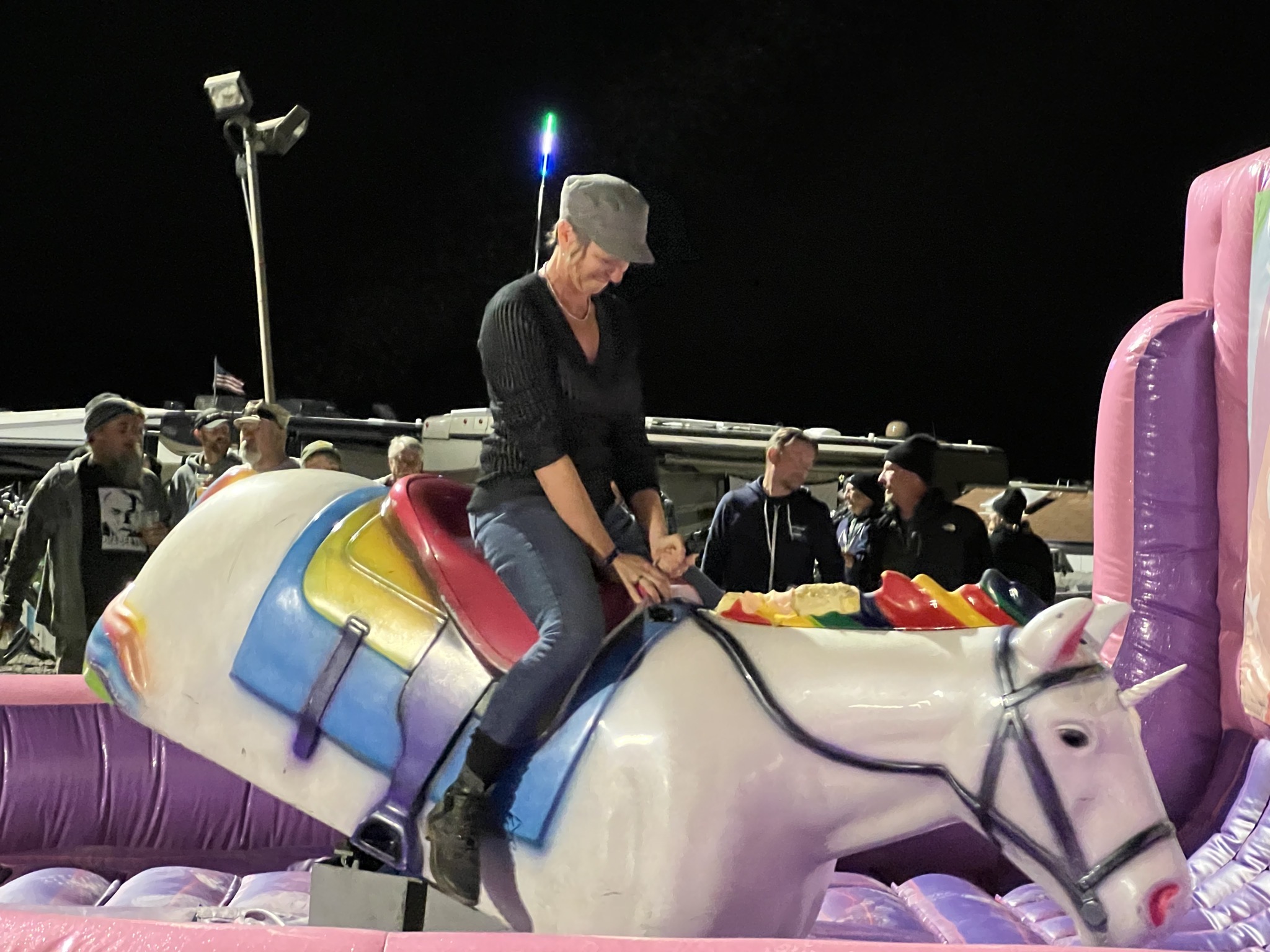 Mechanical unicorn