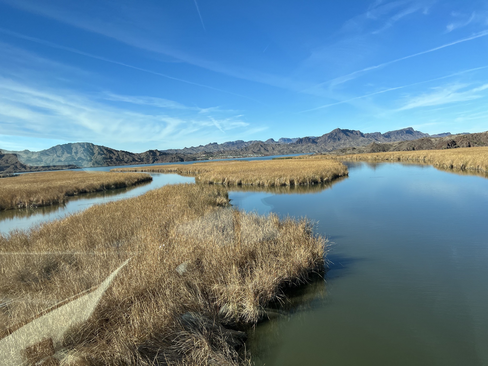 Wetland