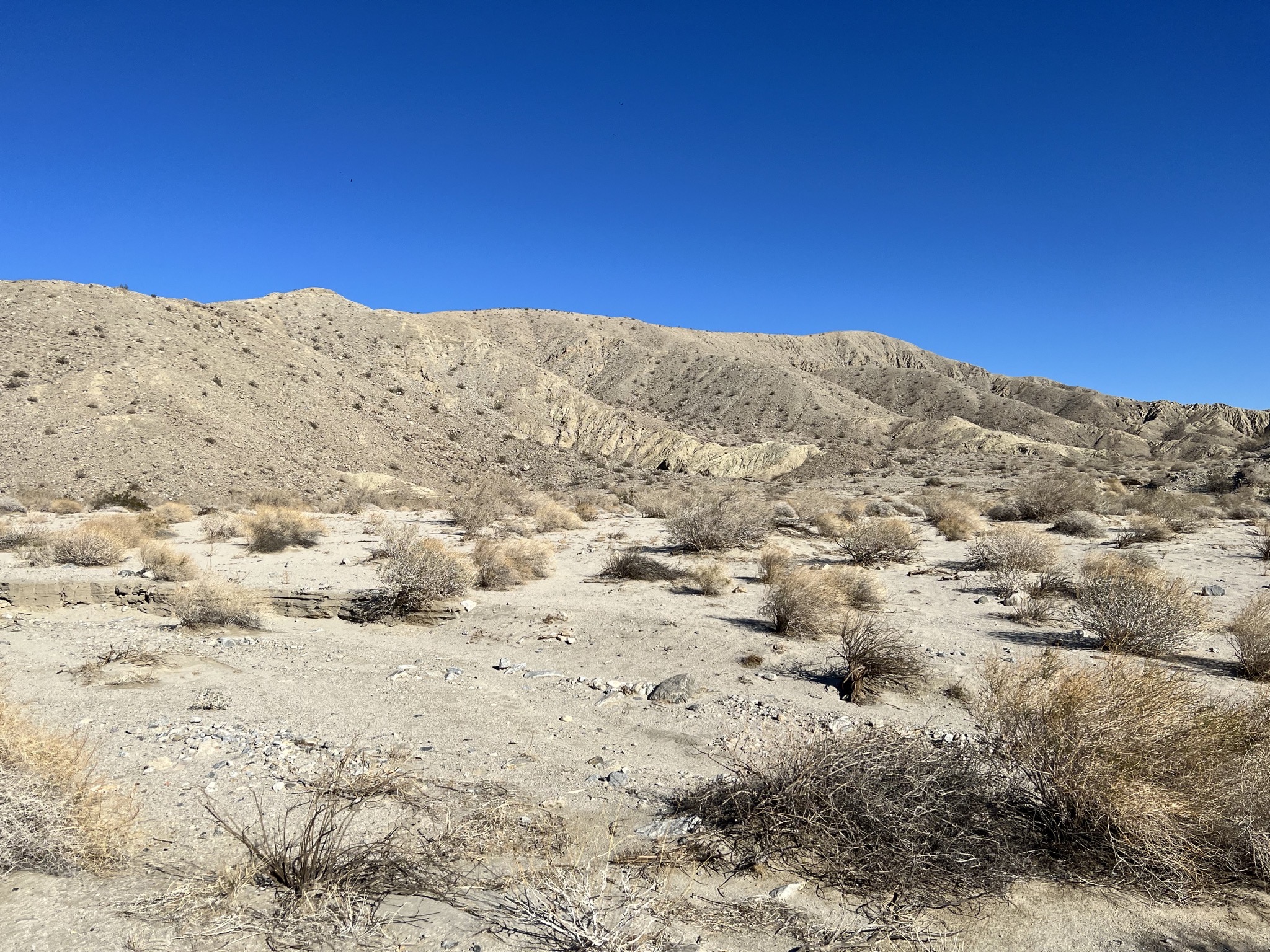 Desert
