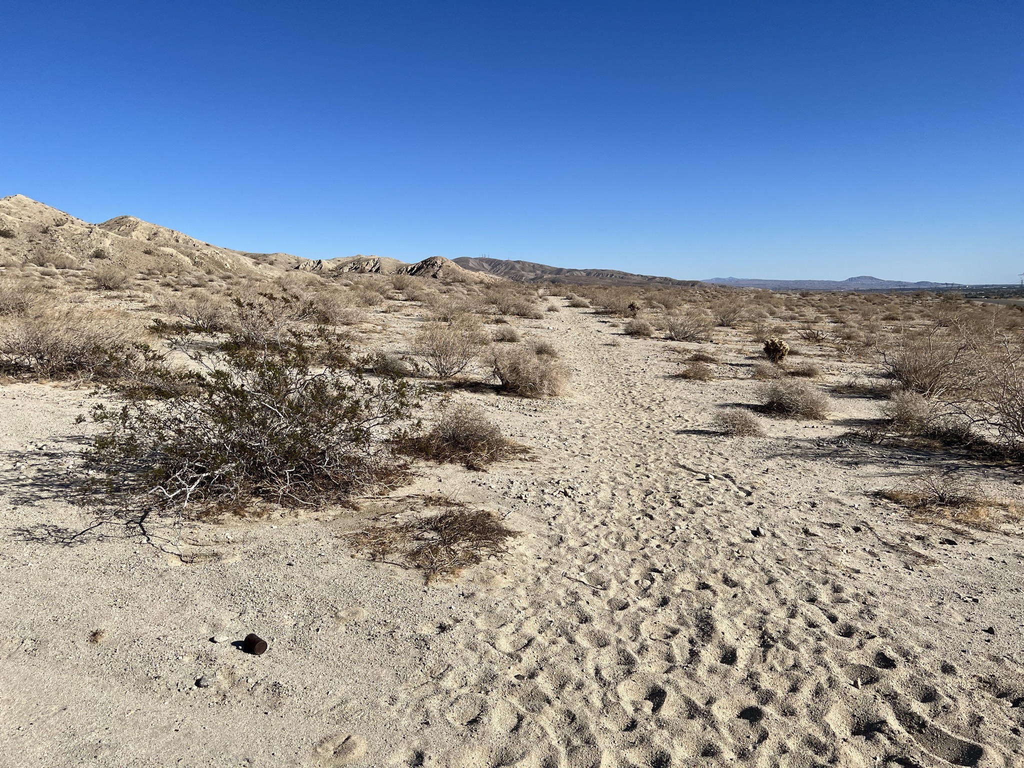 Trail