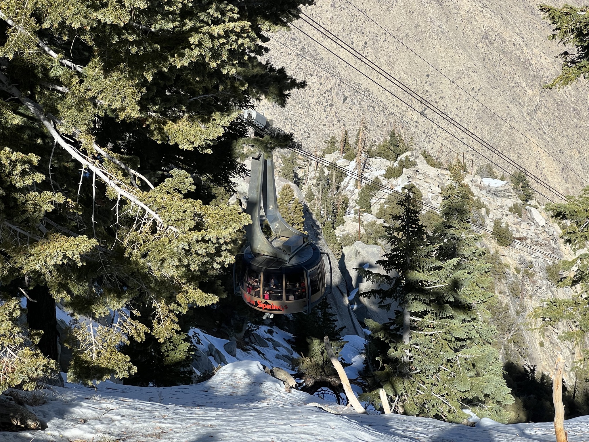 Tram