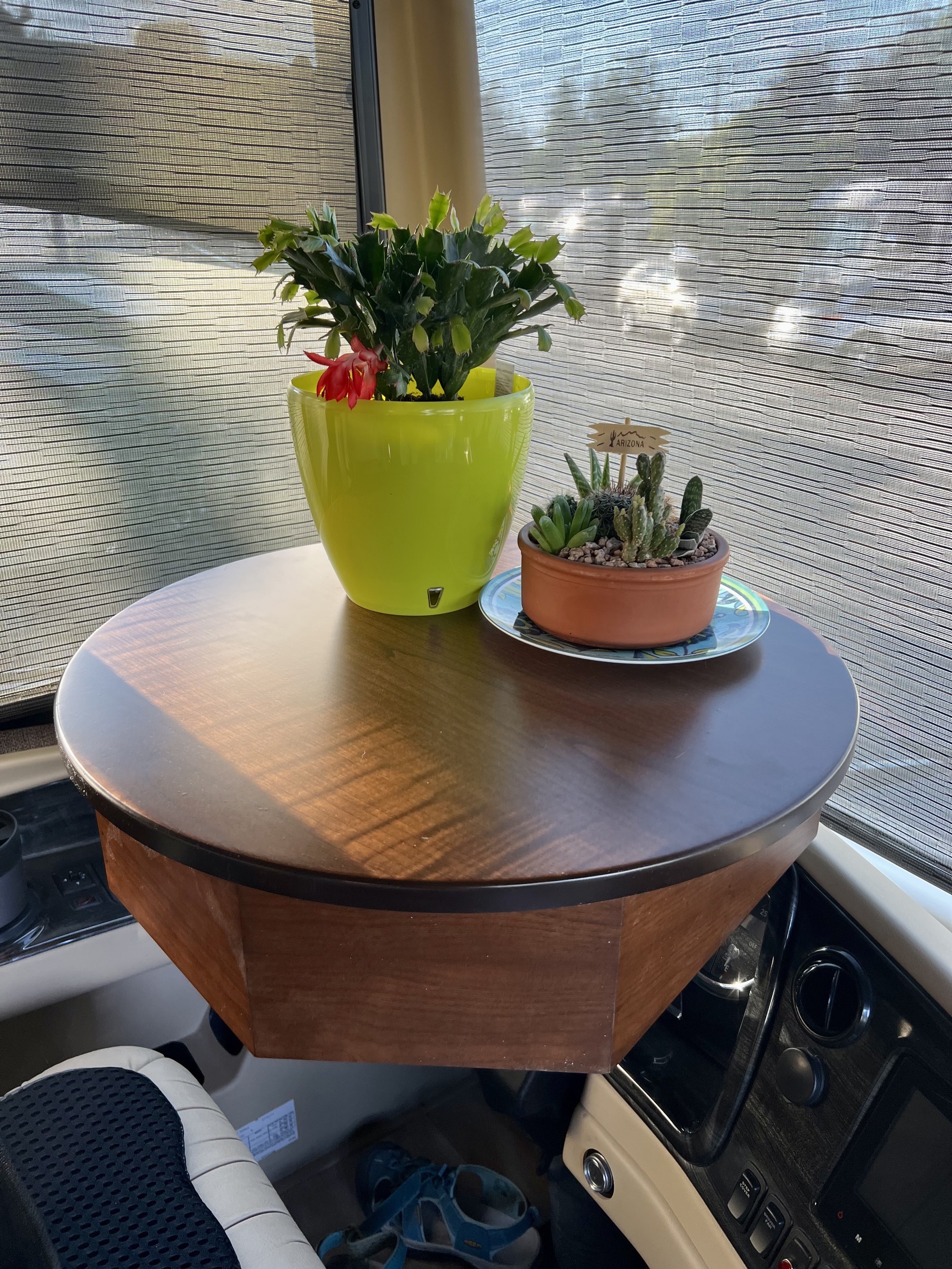 Steering wheel table with plants