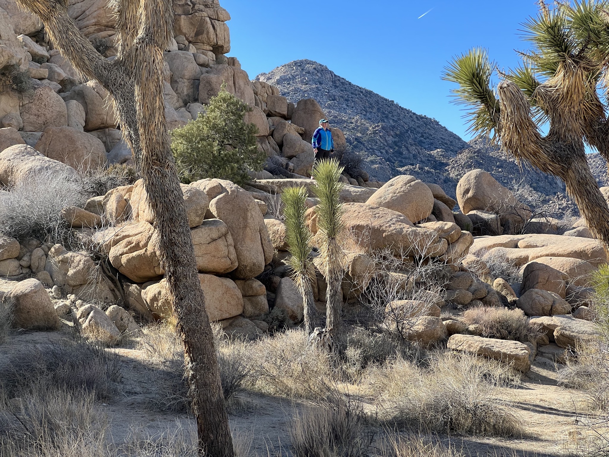 Jenn on a rock