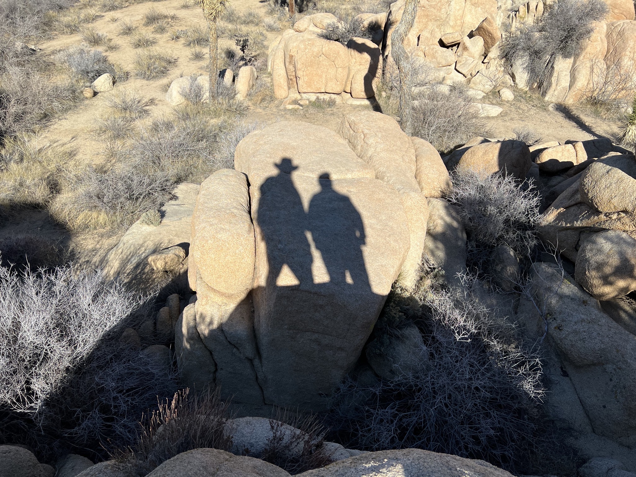 Shadows