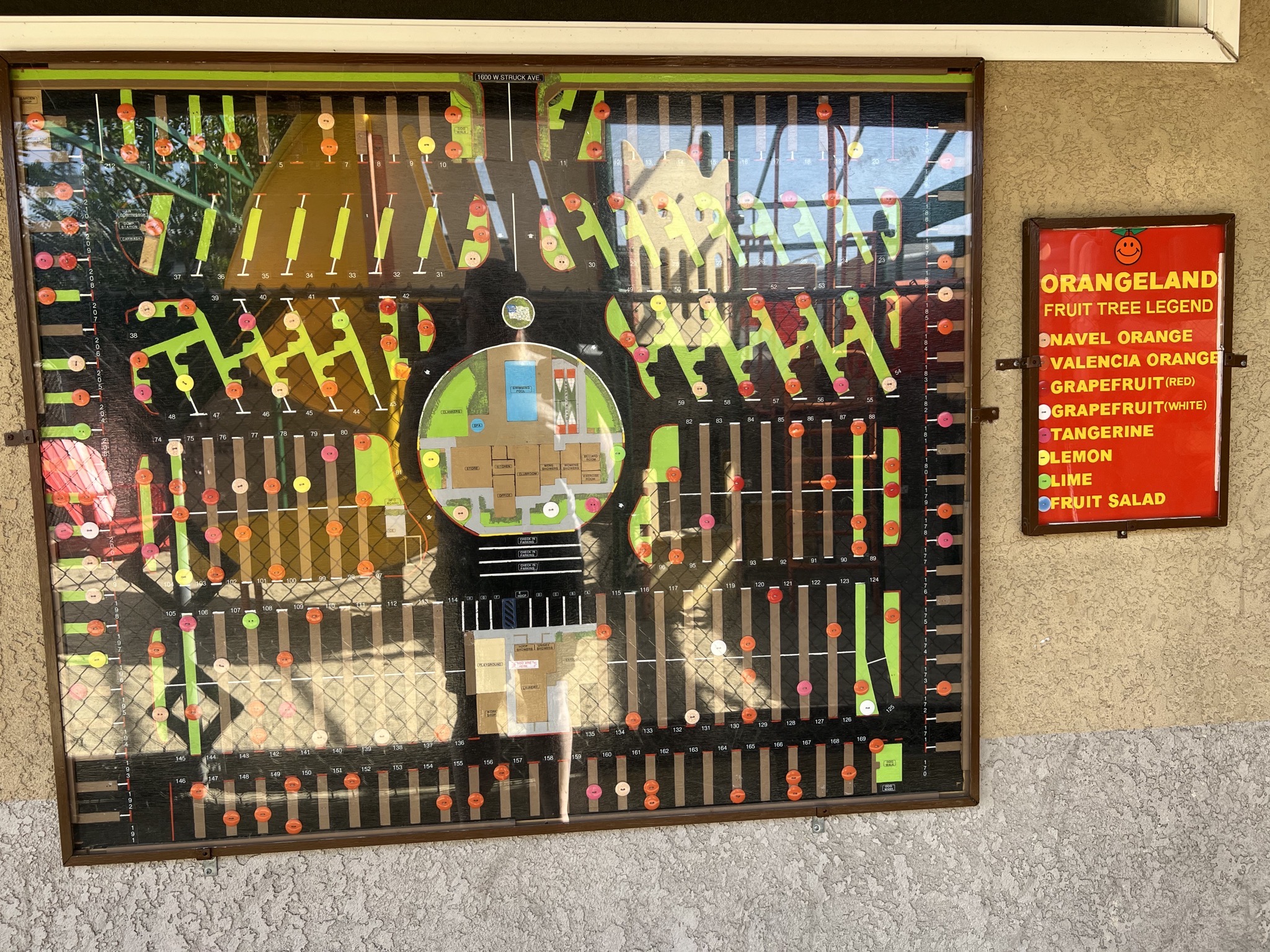 Fruit tree map