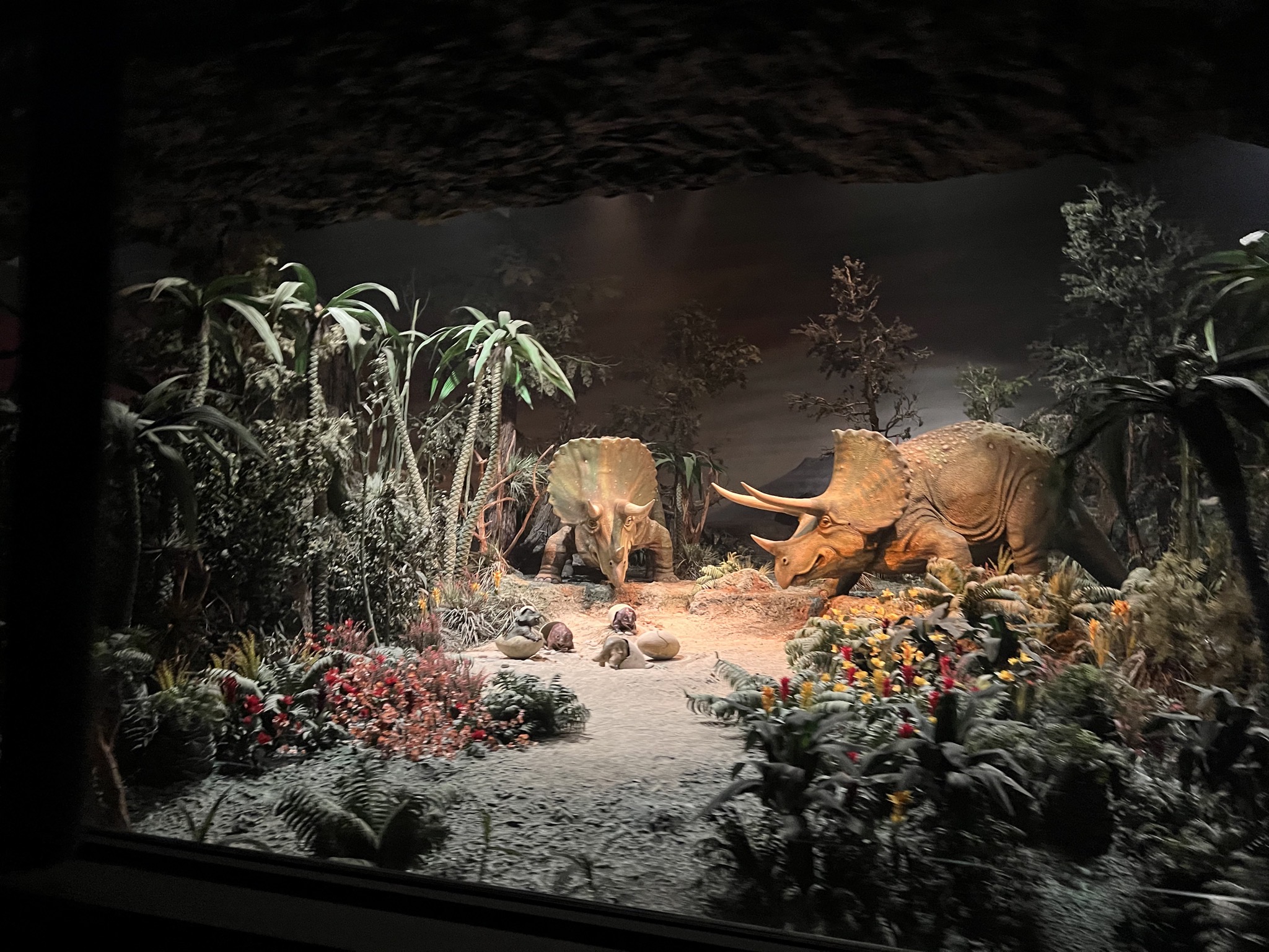 Dinosaurs