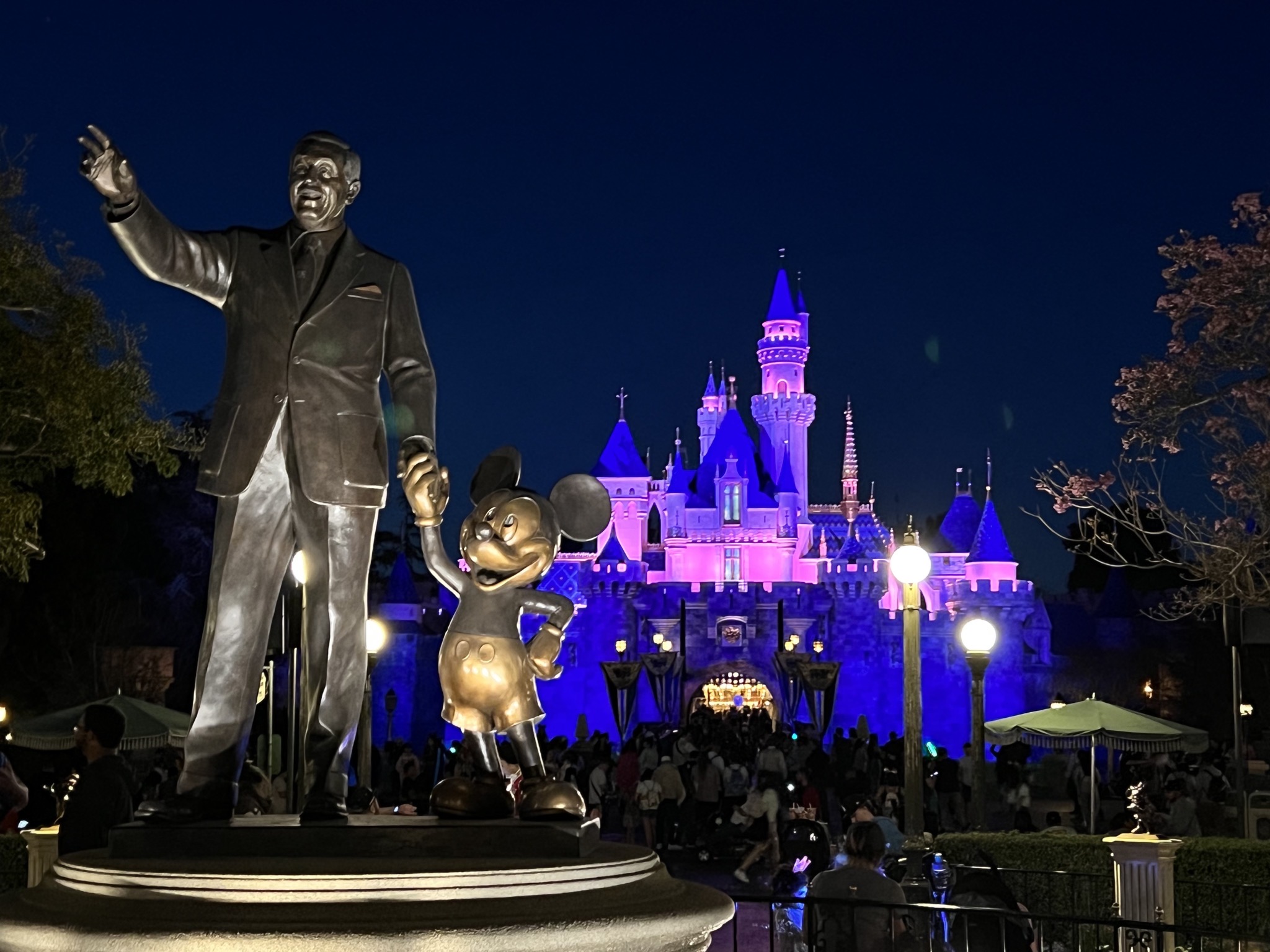 Disney and castle