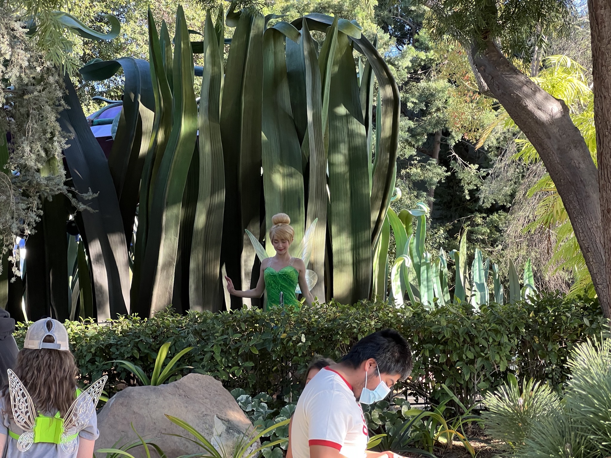 Tinkerbell