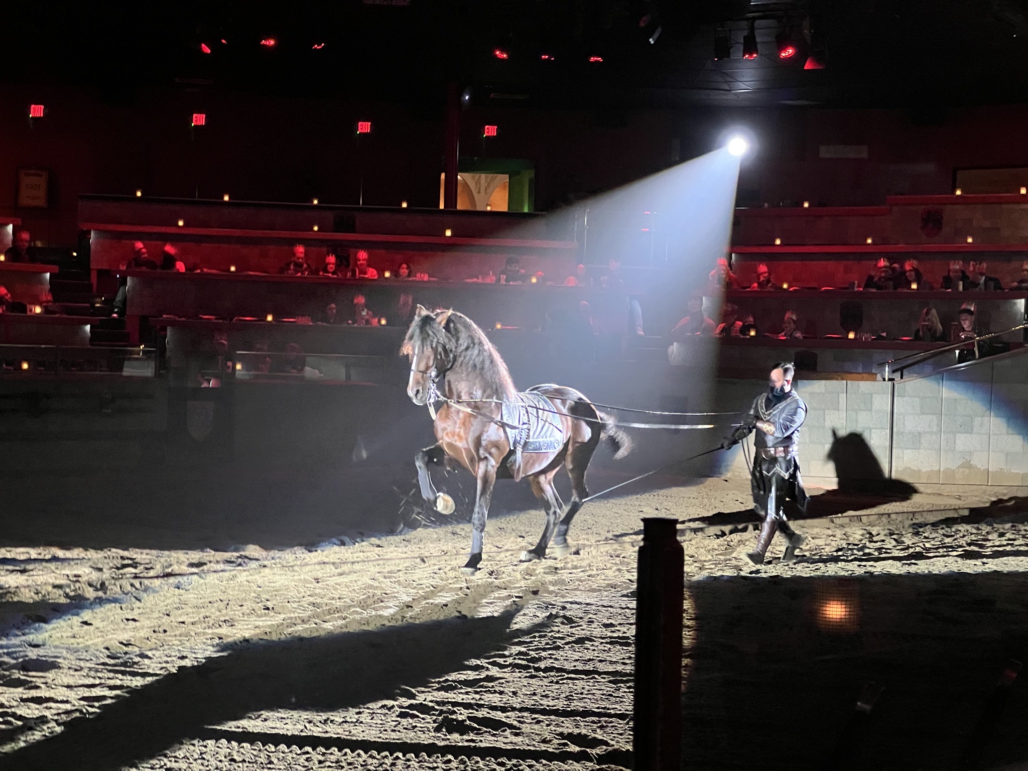 Horse