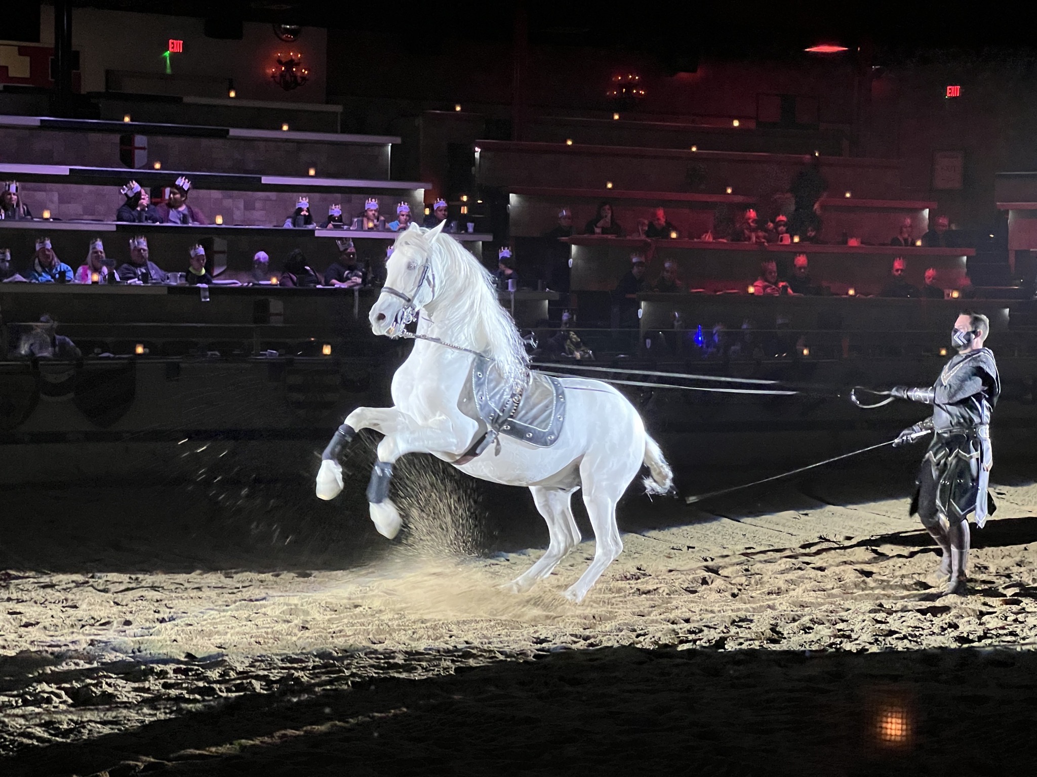 Horse