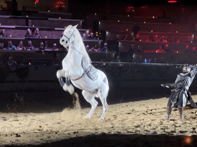 Horse