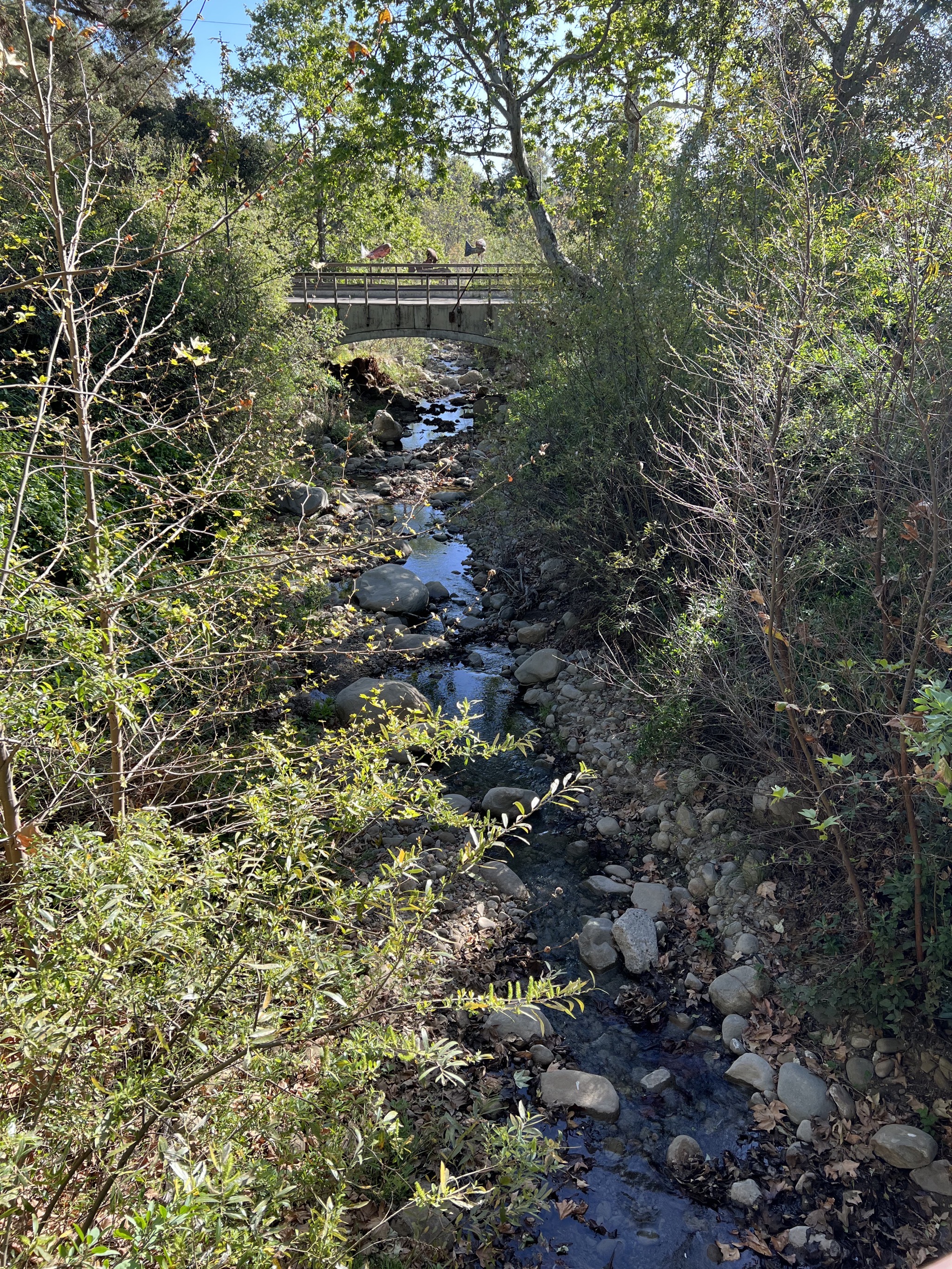 Creek and bridge