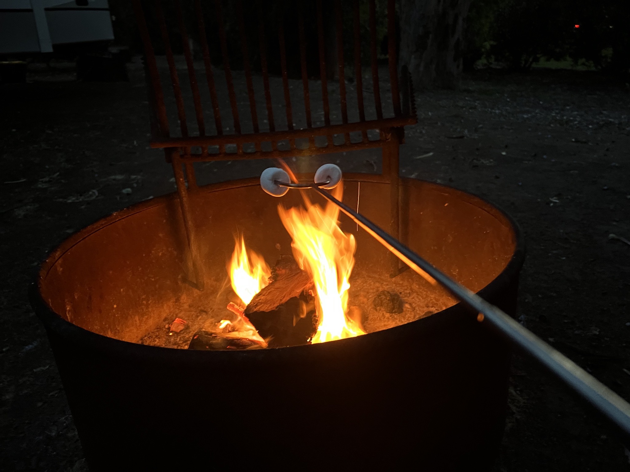 Toasting masrshmallows