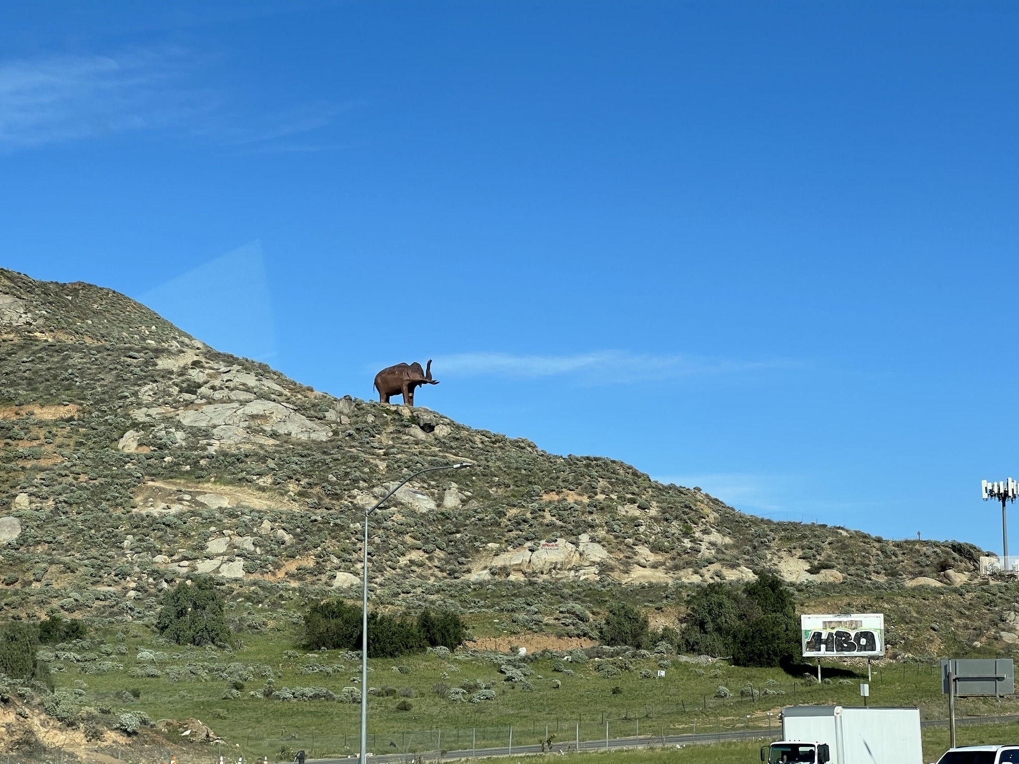 Elephant