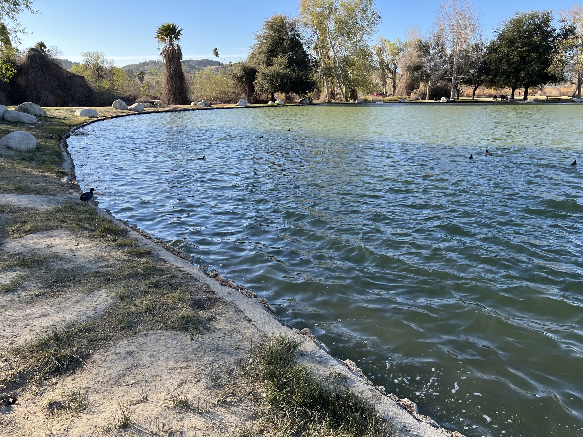 Lake