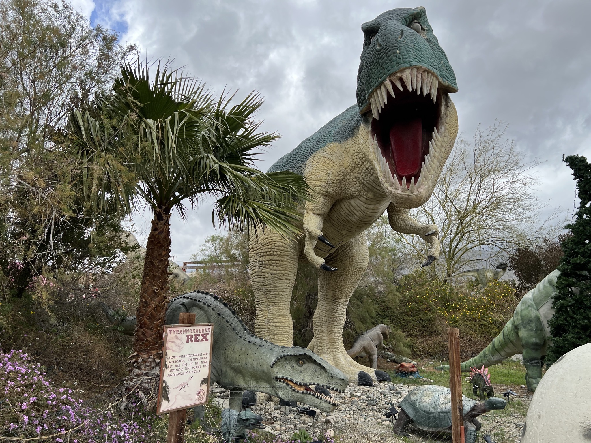Dinosaurs