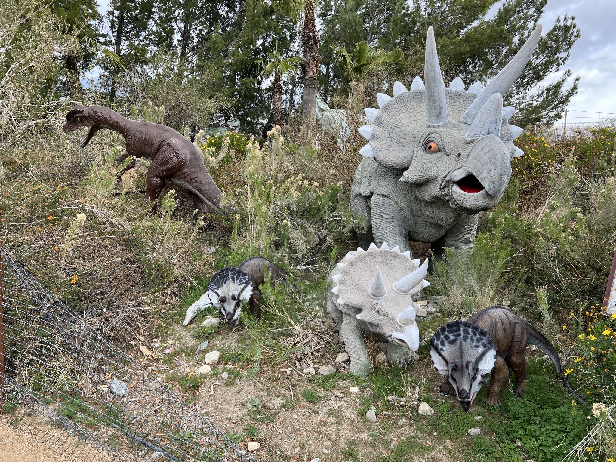 Dinosaurs