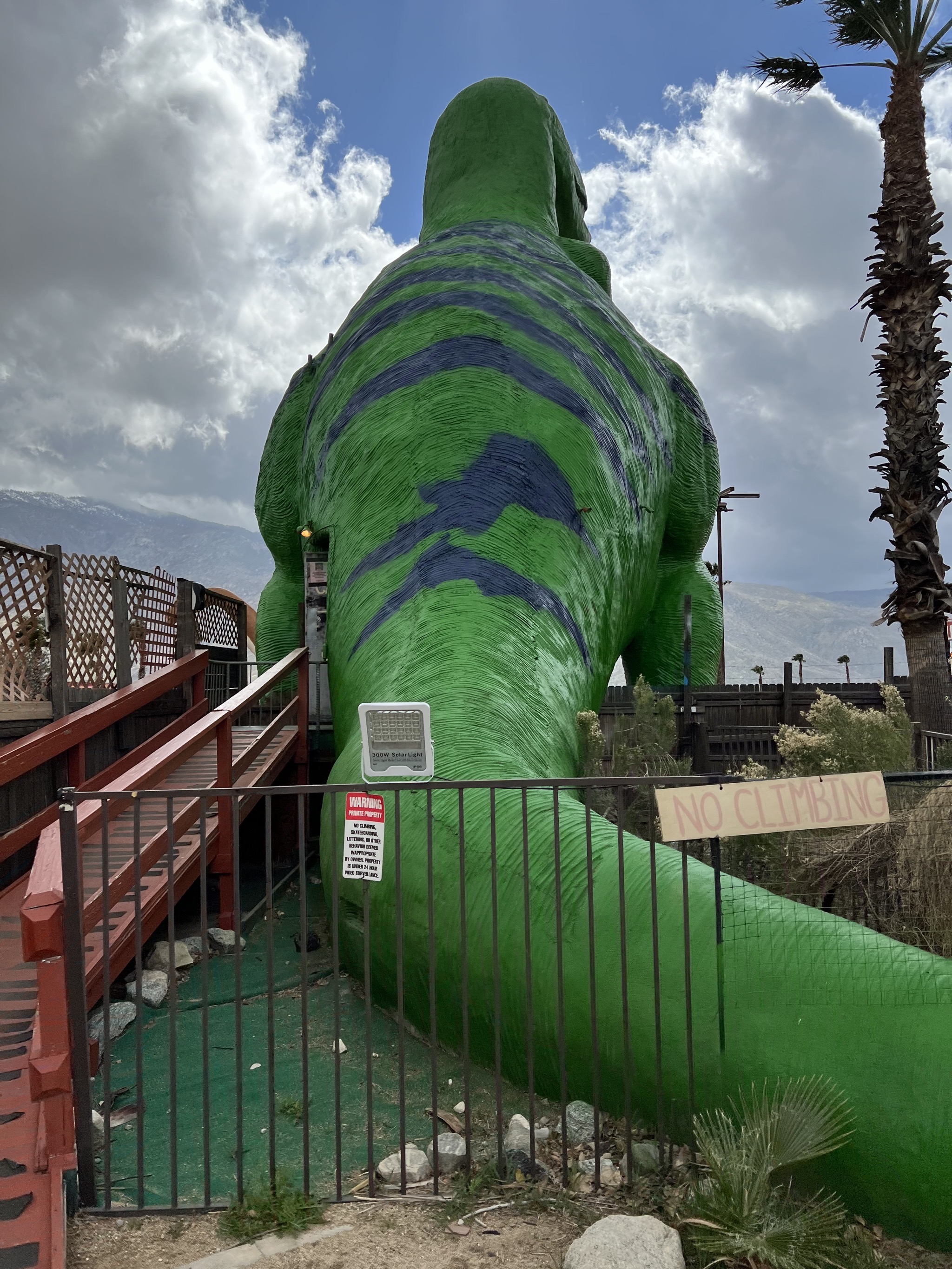 Dinosaurs