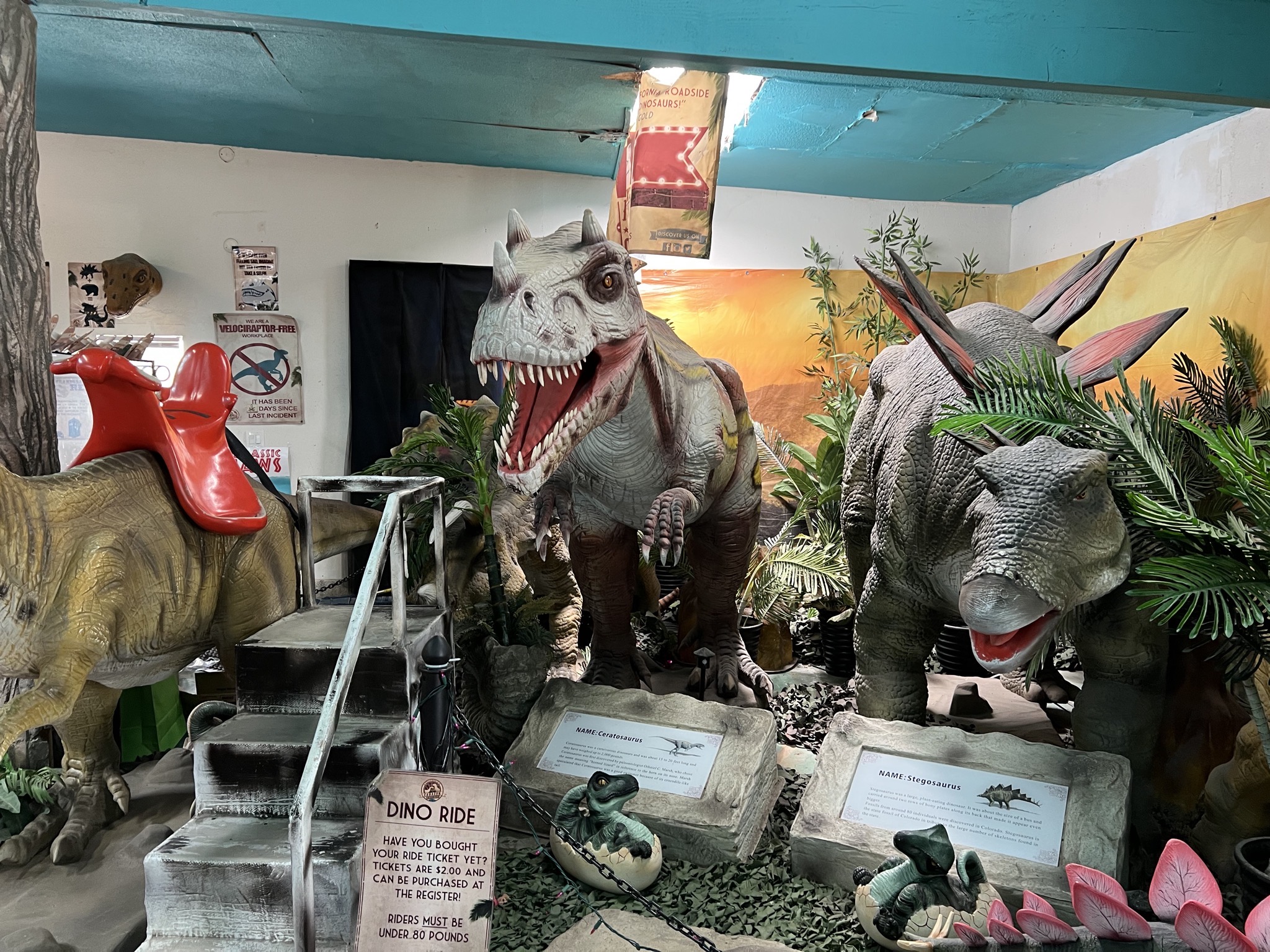 Gift shop