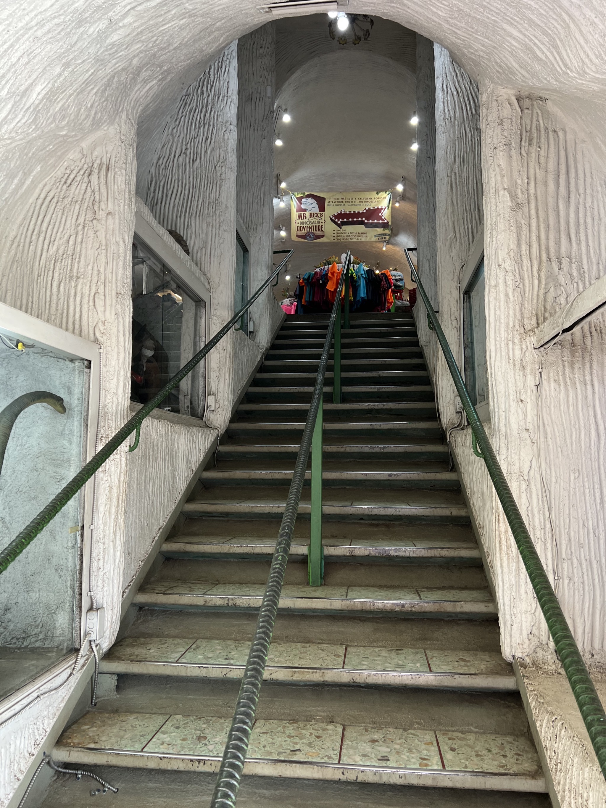 Steps inside dinosaur
