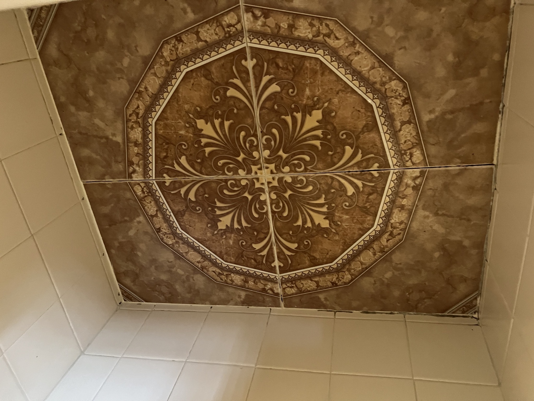 Shower ceiling