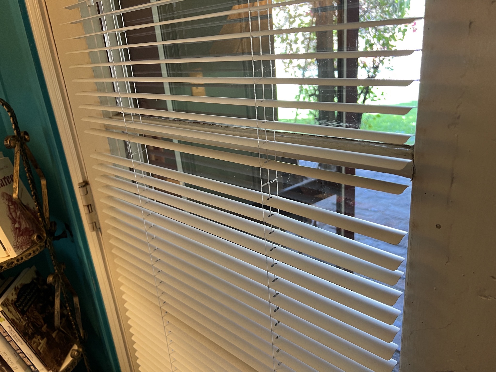 Door blinds