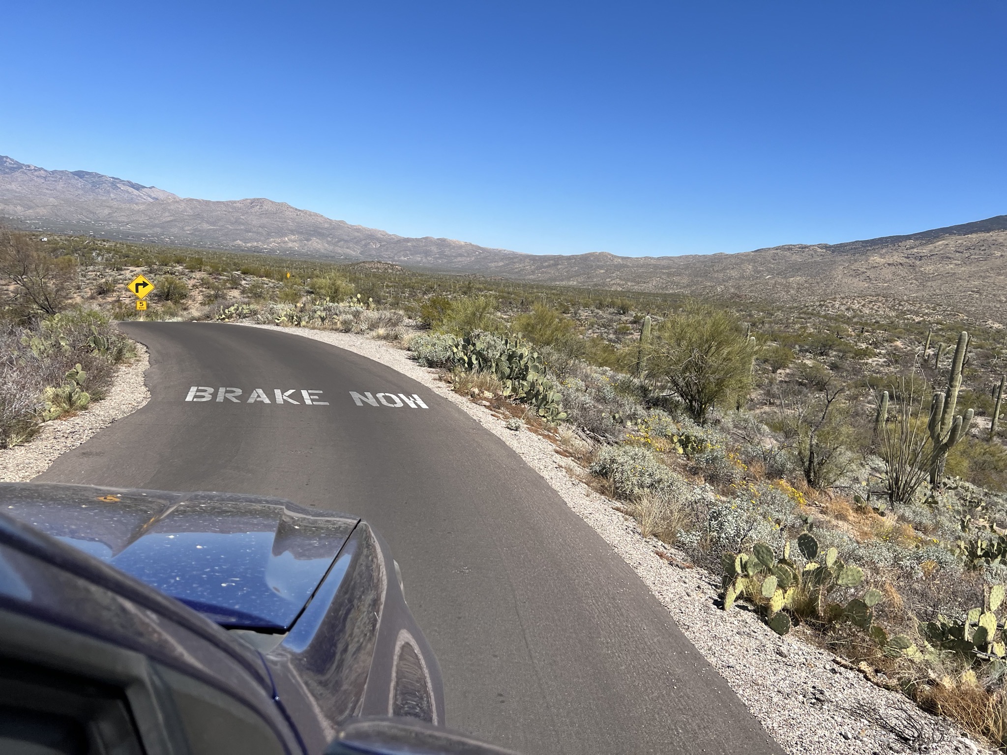 Brake now