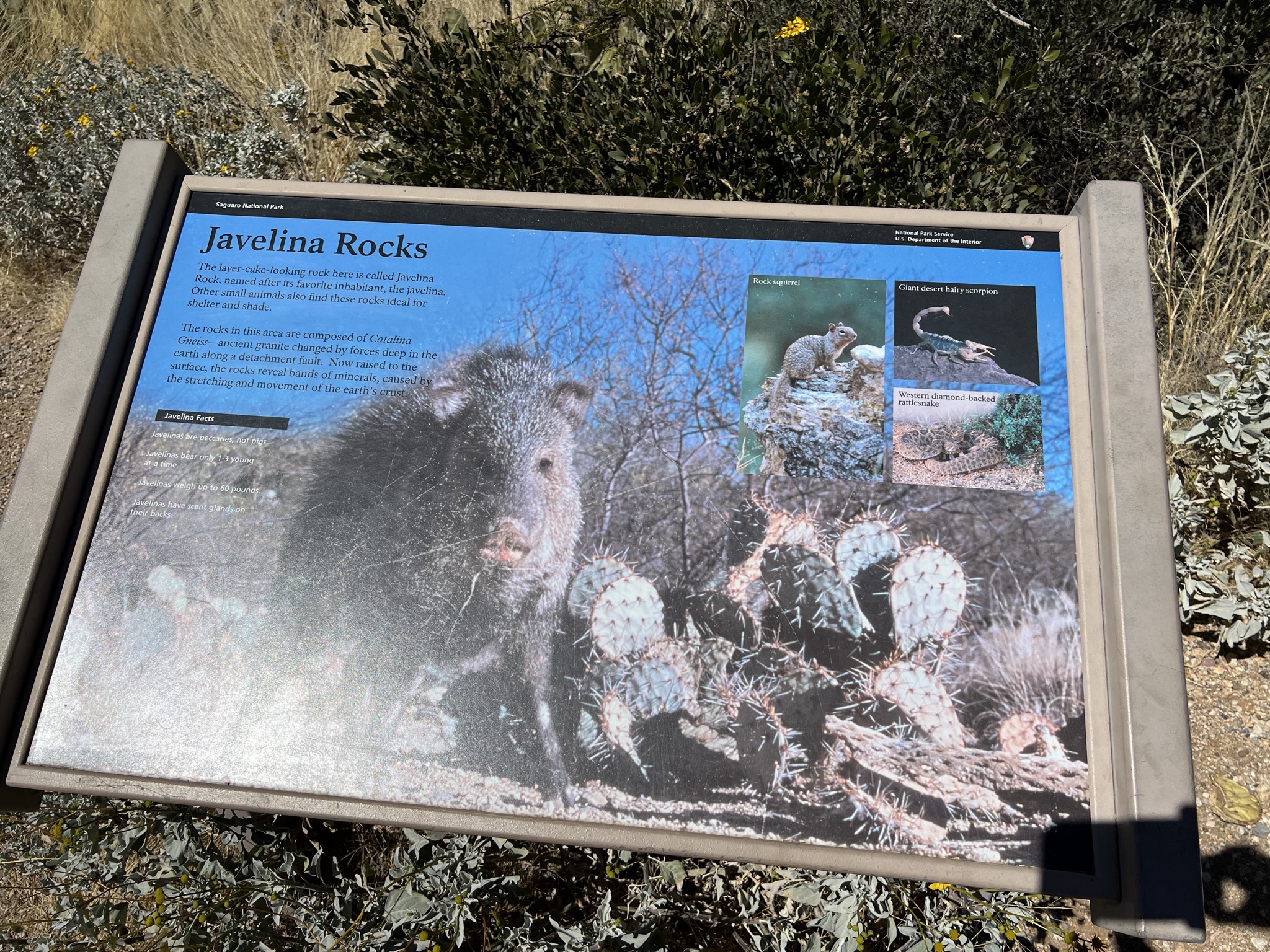 Info sign