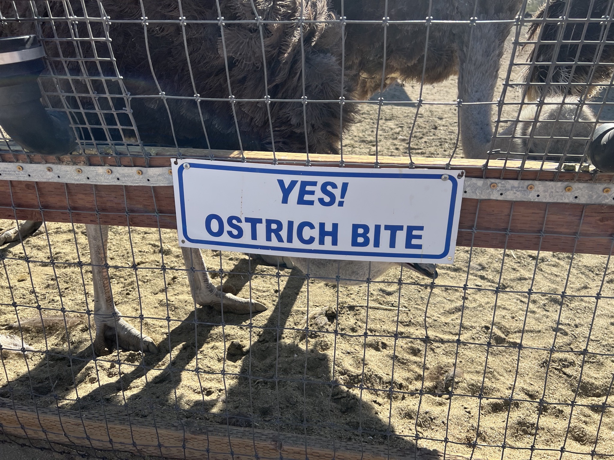 Ostriches sign