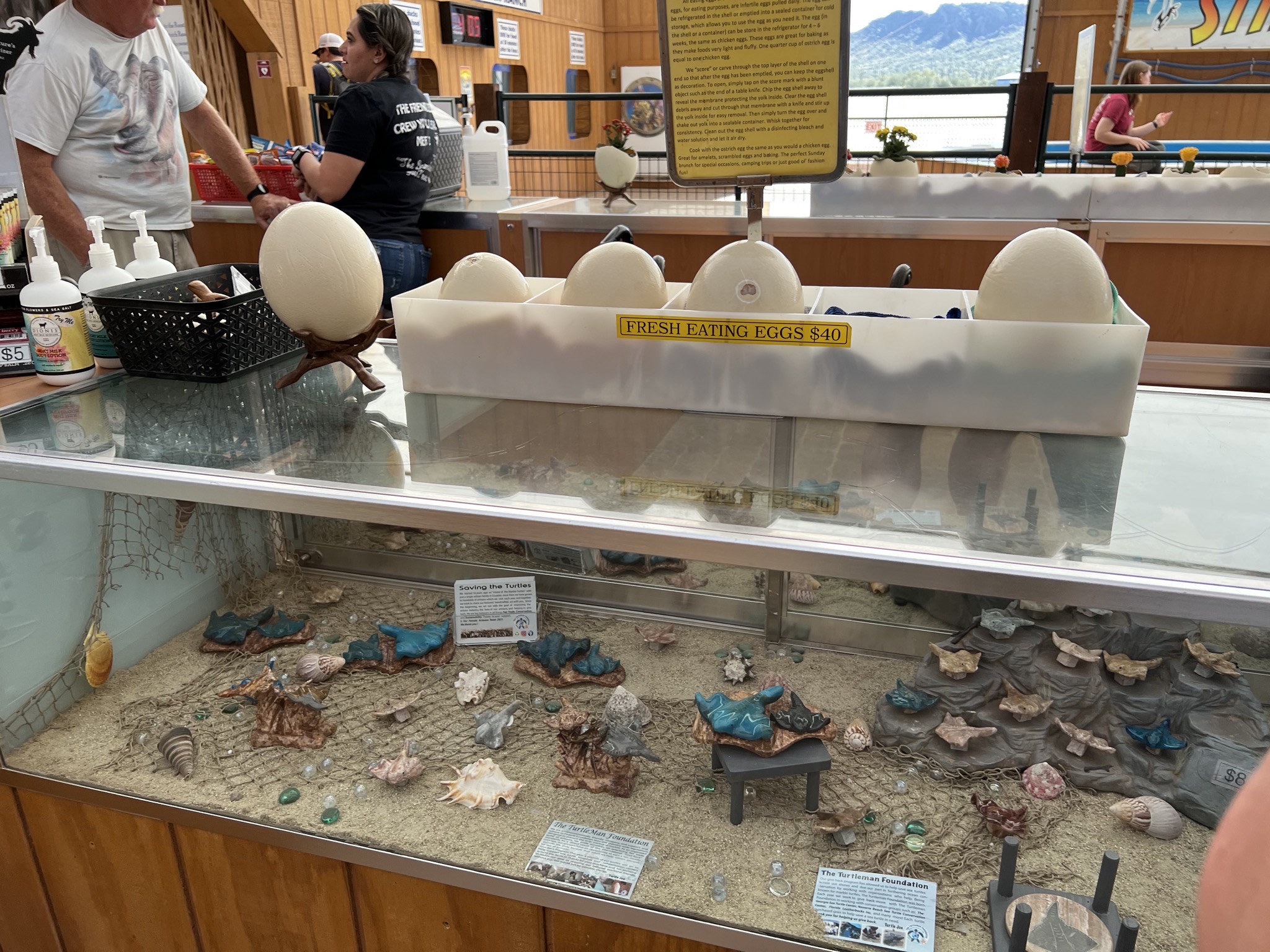 Eggs