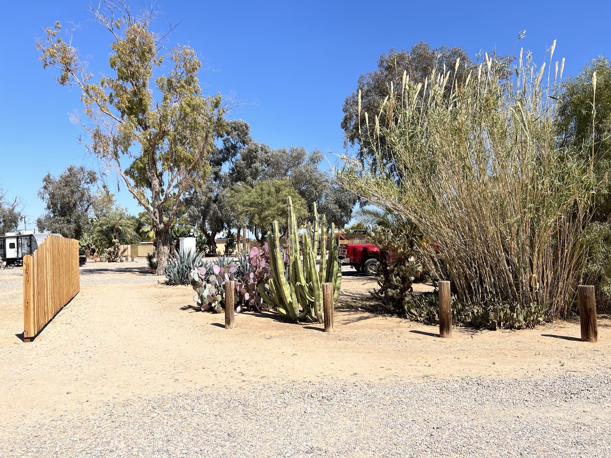 Path and garden