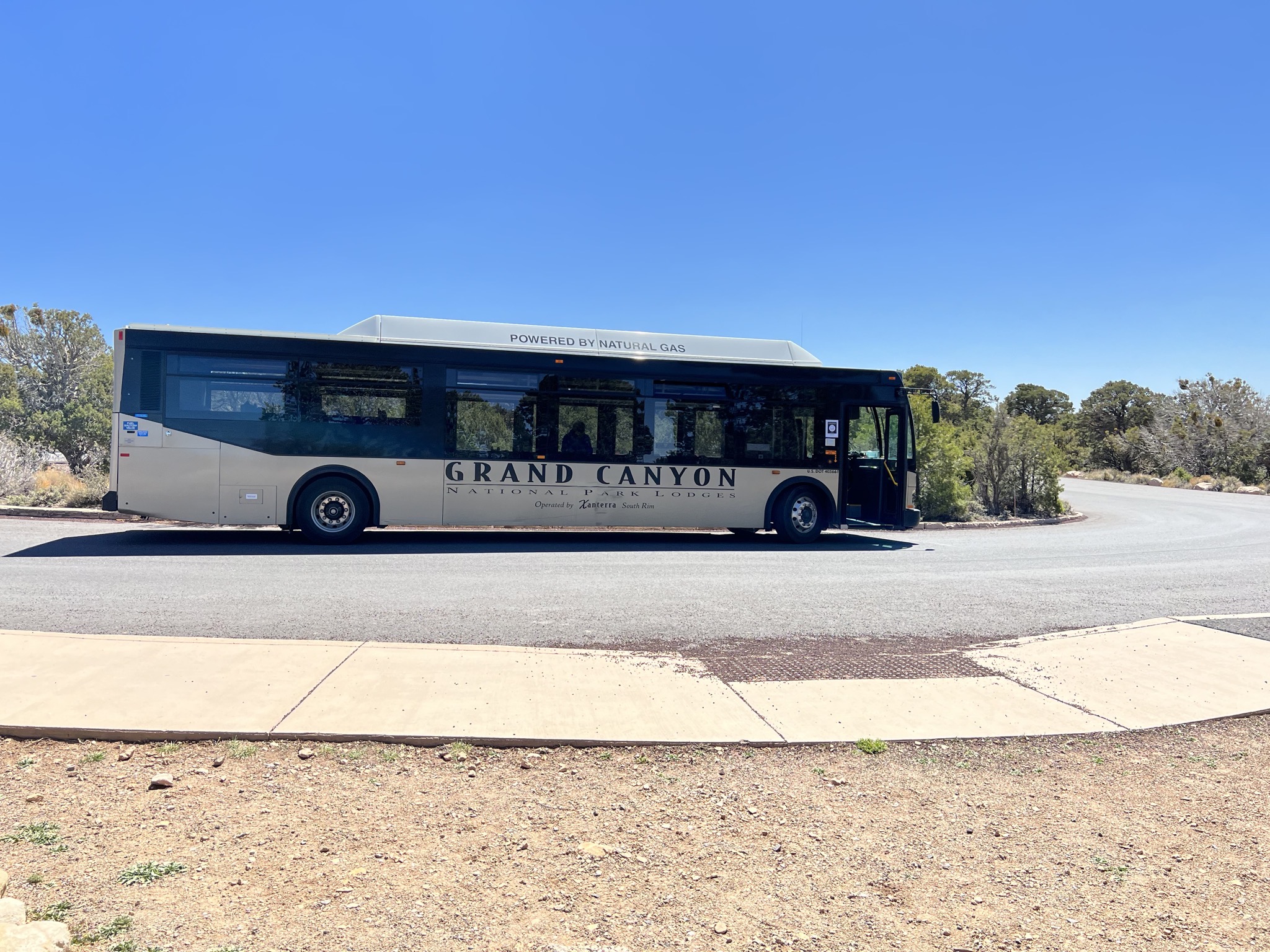 Tour bus